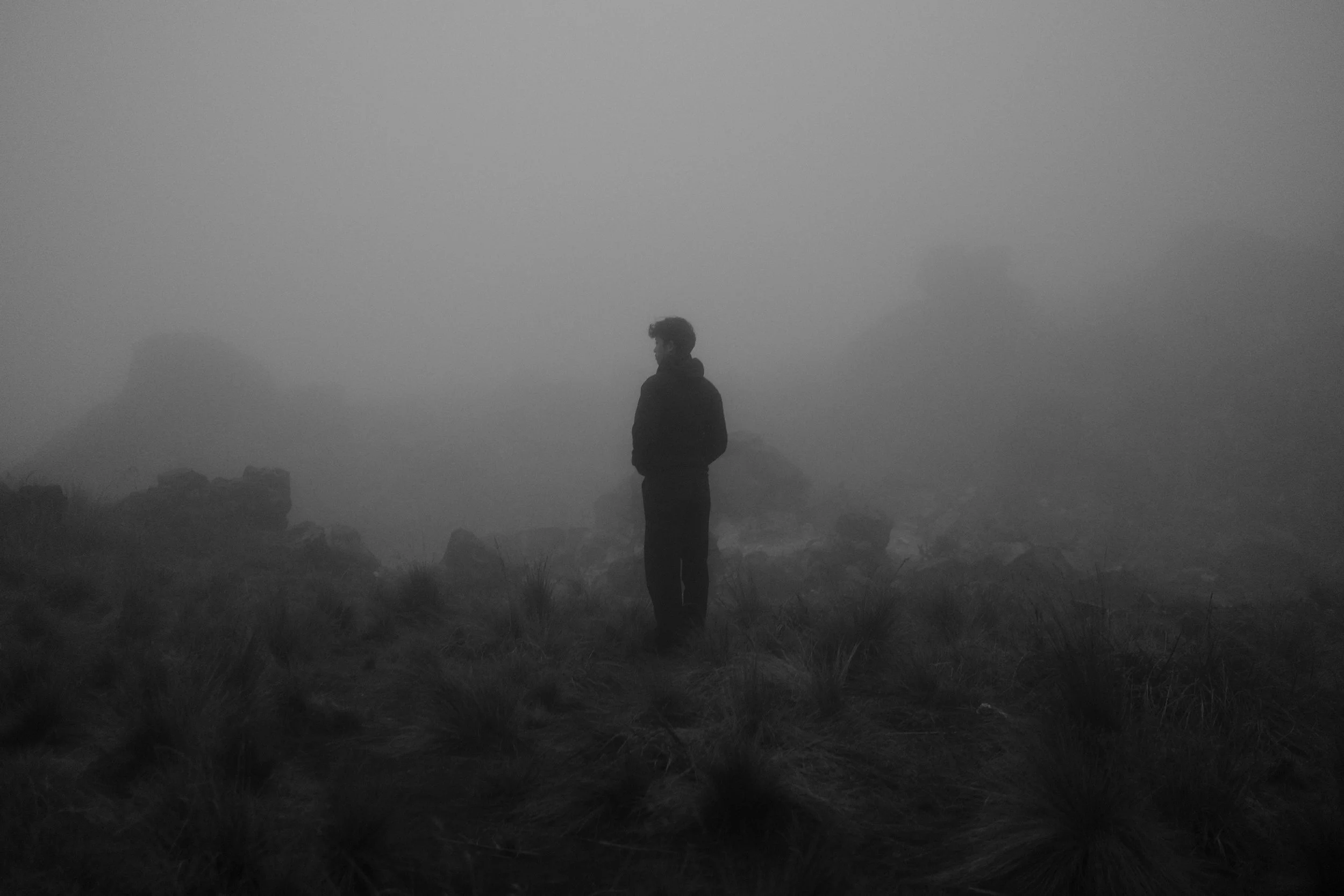 A person standing alone on a foggy coastline or cliff, looking out over the foggy landscape with rocks and grass in the foreground.
