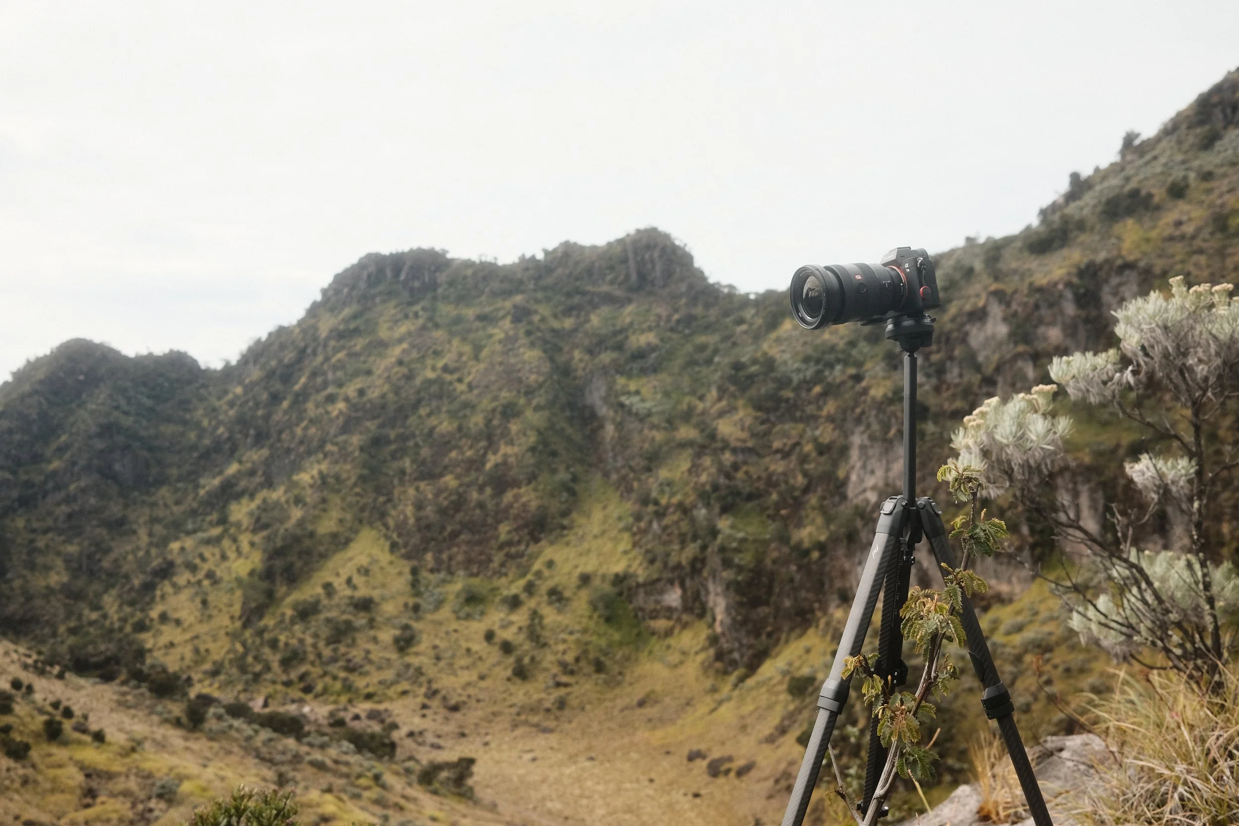 A professional camera mounted on a tripod in a mountainous outdoor setting with green hills and shrubs.