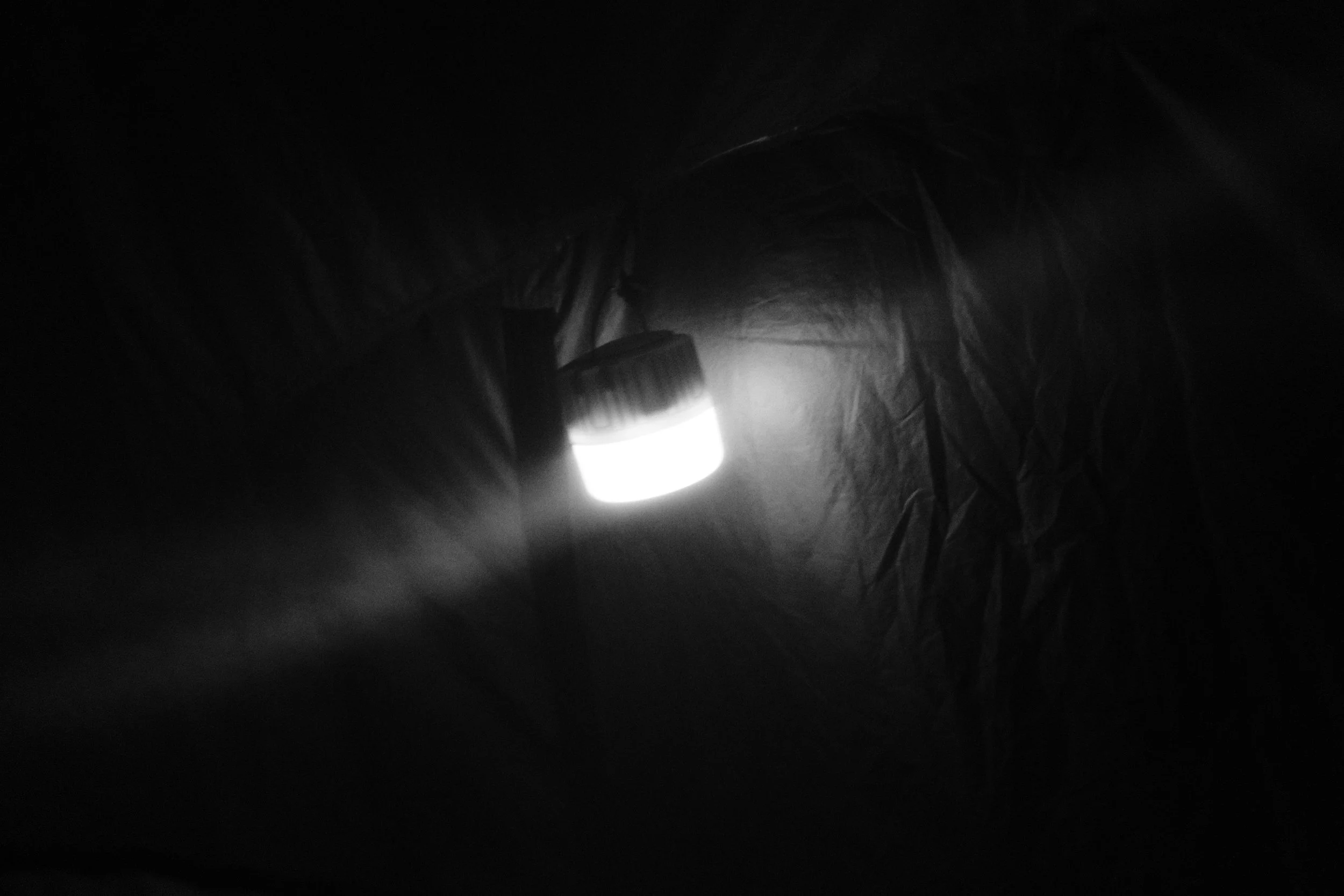 Dark image with a bright circular light source in the center, surrounded by shadows and faint outlines of leaves or foliage.