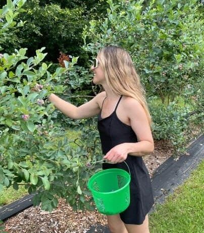 Summer fruit picking & plandid photos