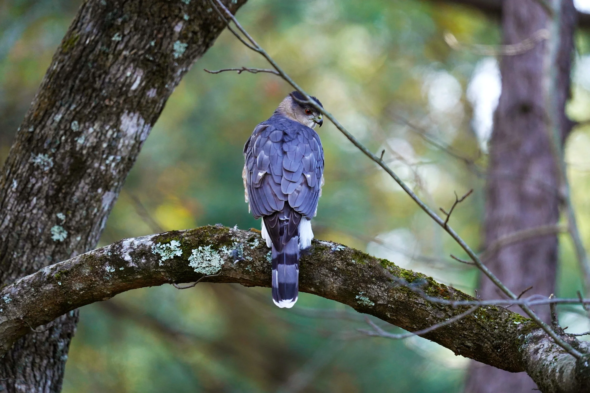 Evergreen Photography Gives Back