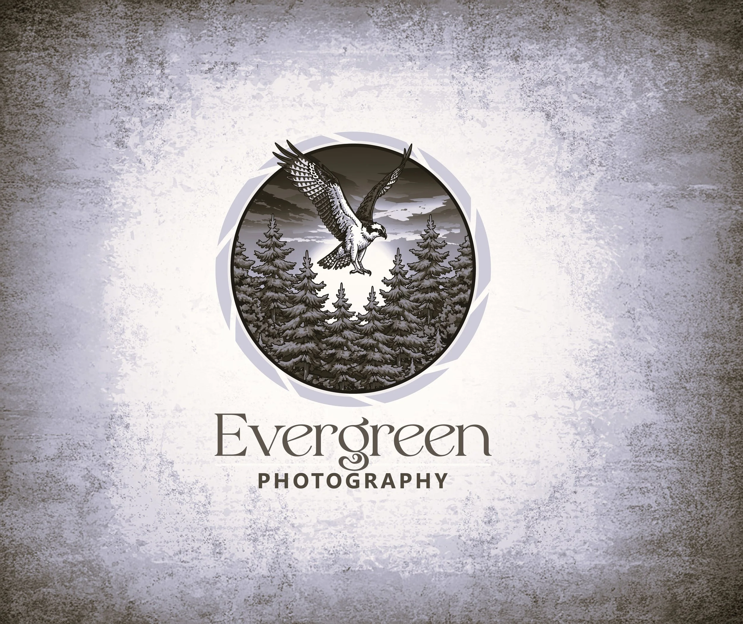 Evergreen Photography - 5 Star Reviews