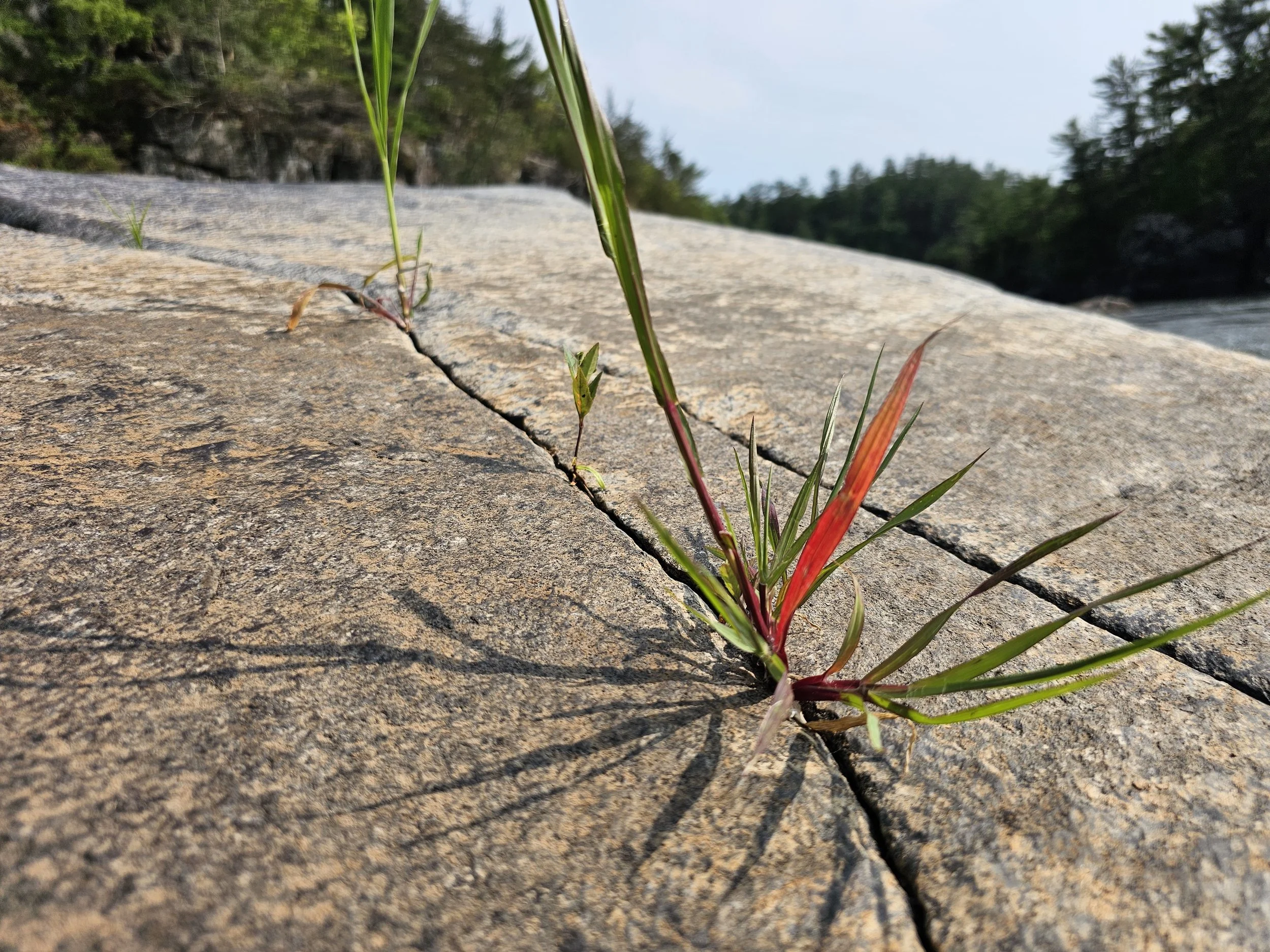 Growth Between Crack