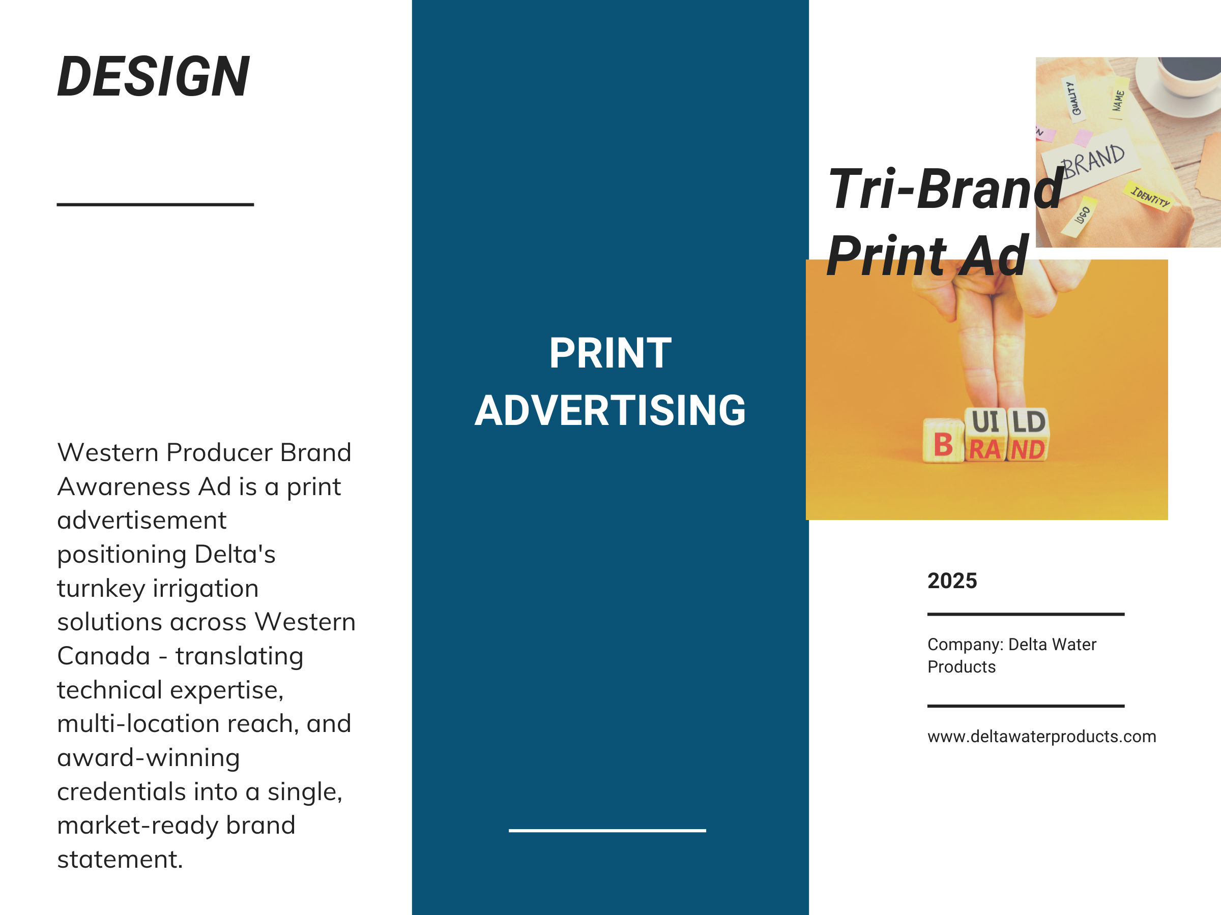 Print Advertising - Tri-Brand Print Ad