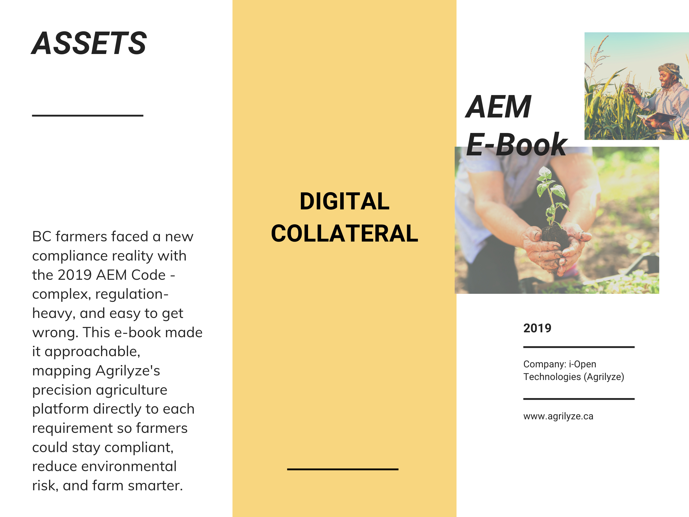 Digital Collateral - AEM E-Book