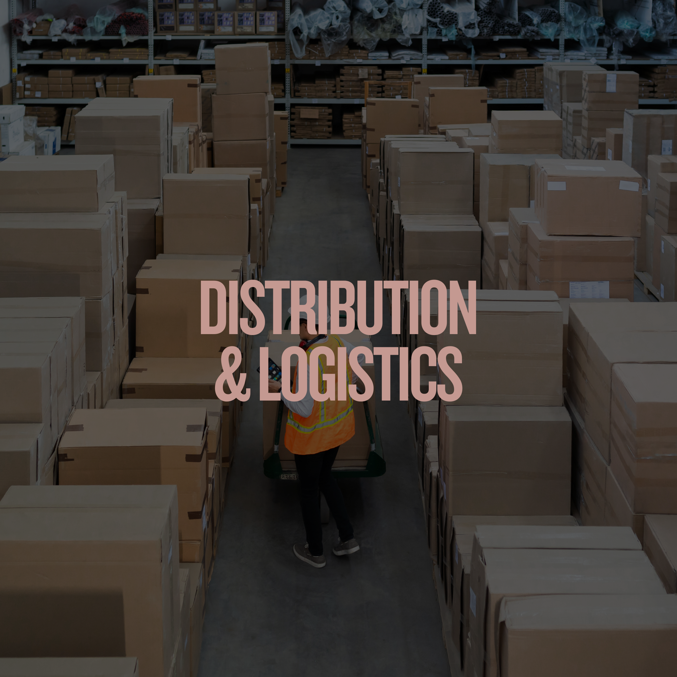 Distribution & Logistics.png