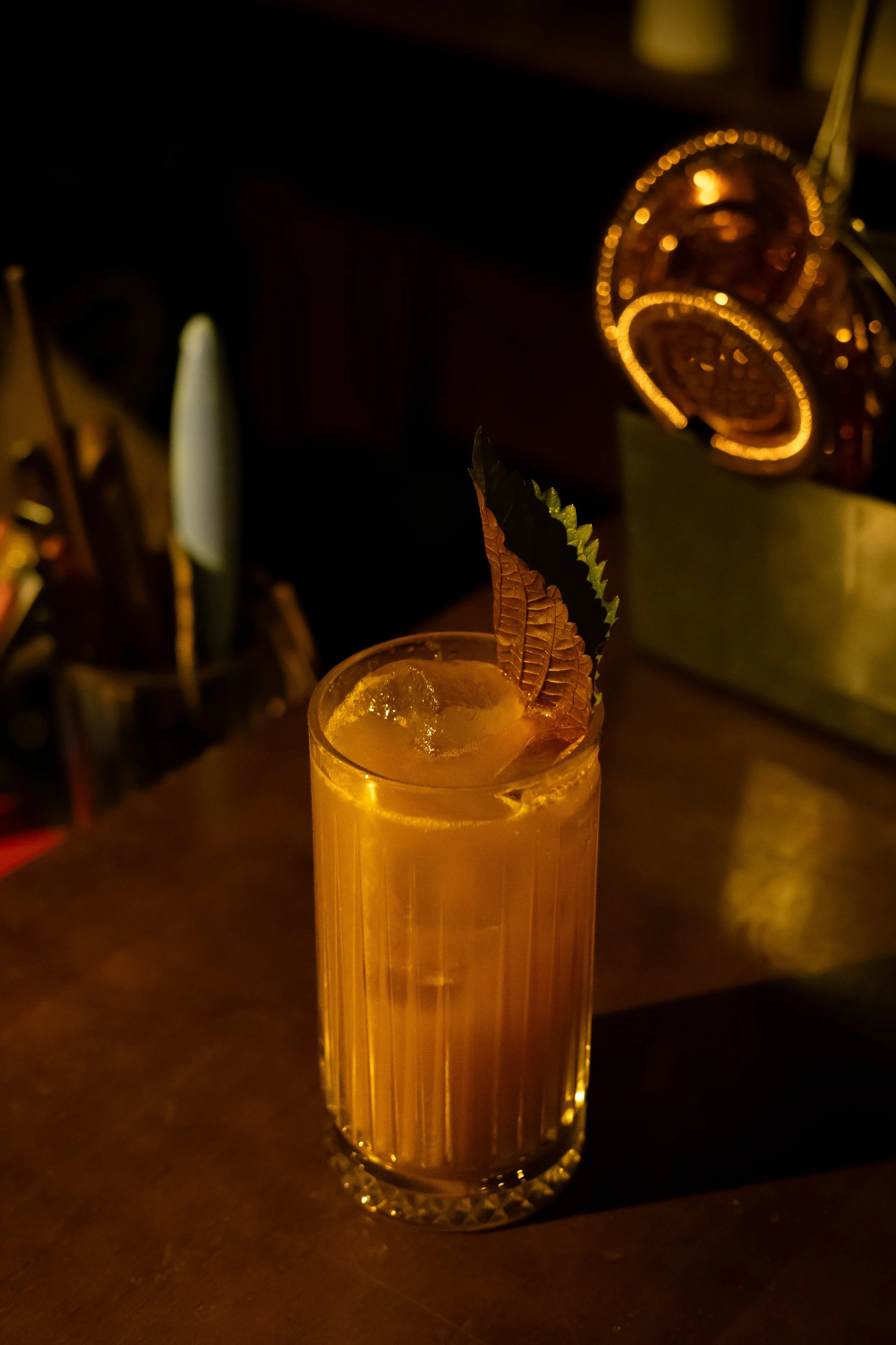 DSCF2367.jpg