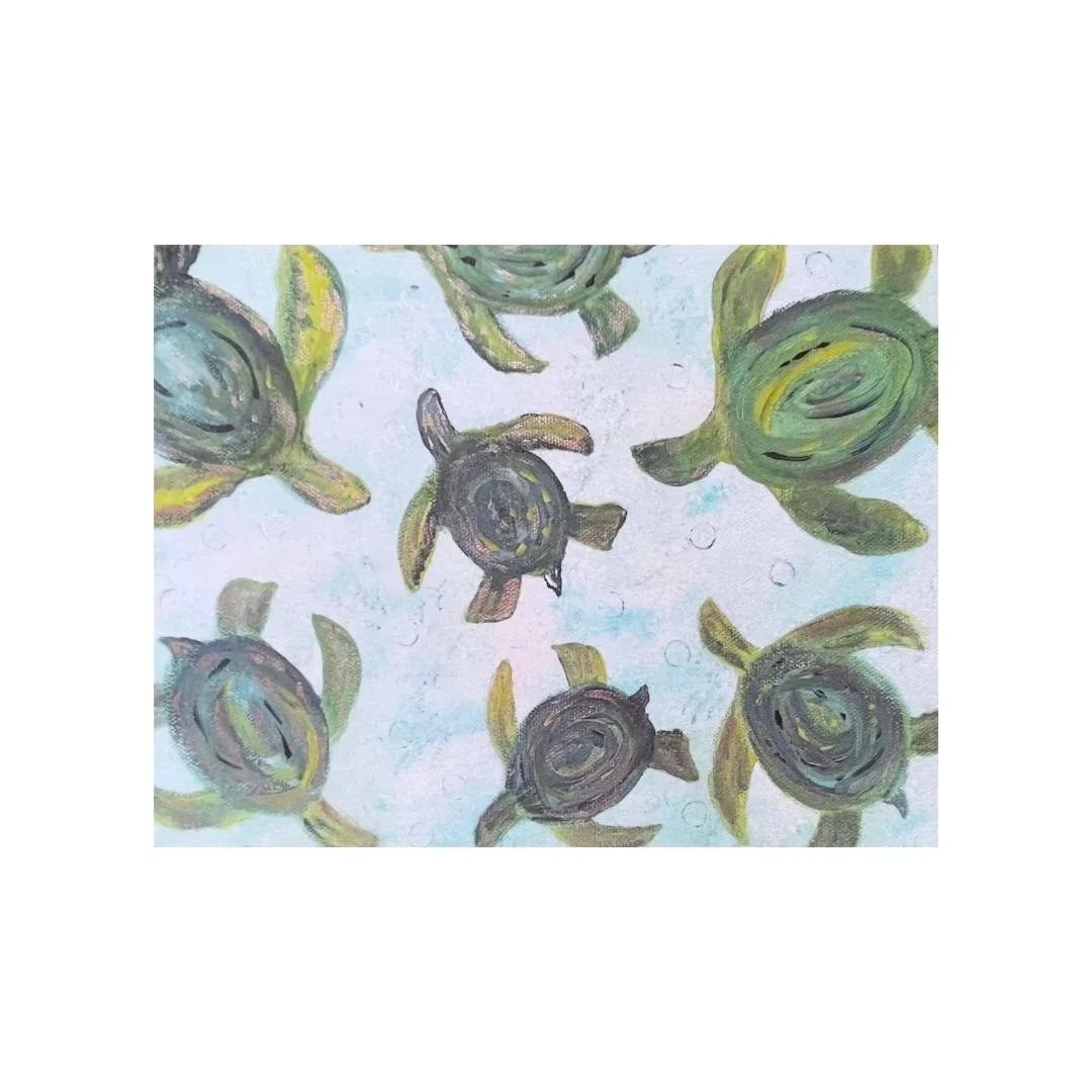Turtle Time New White BG 11_10_25.jpg