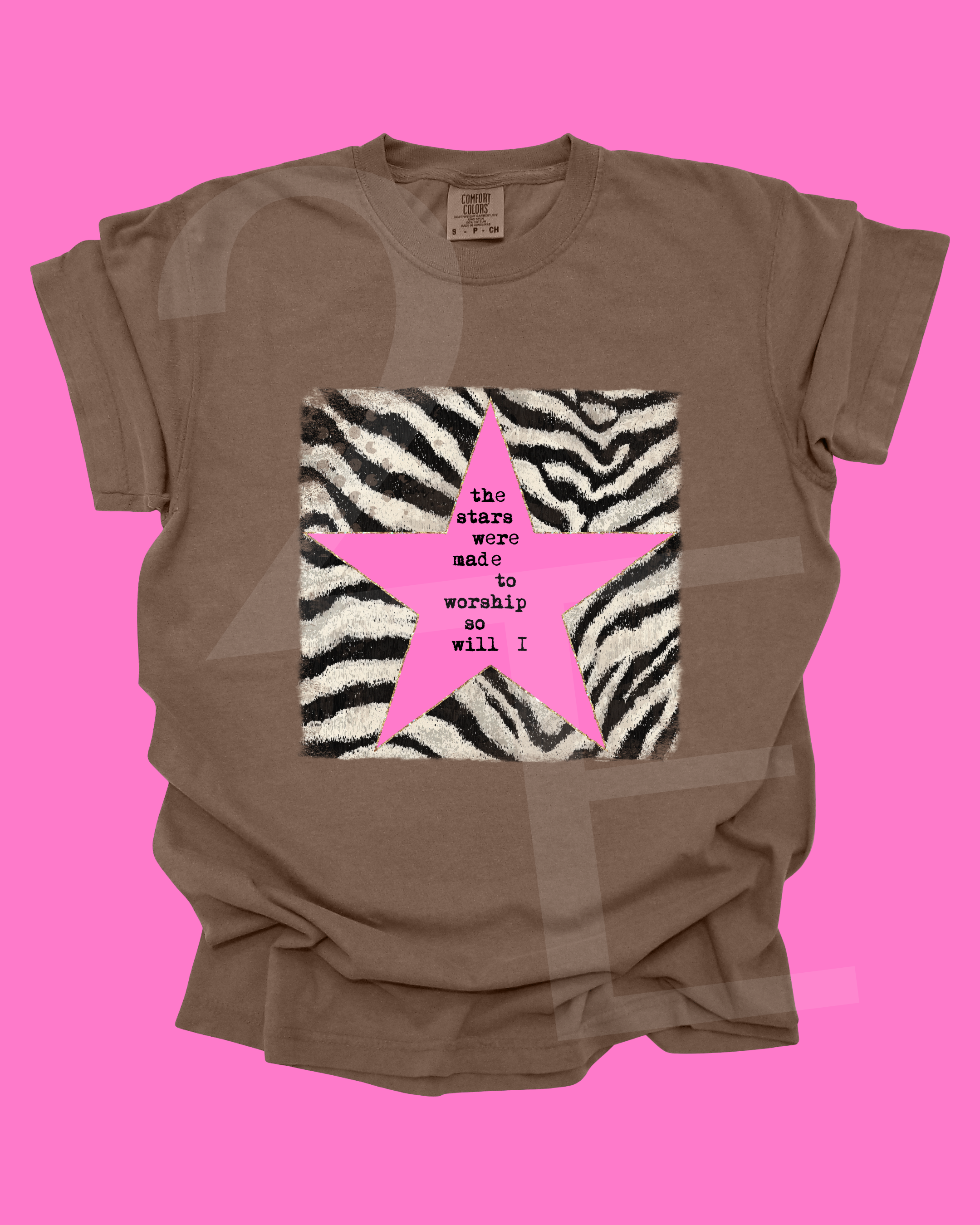 The Stars Were Made To Worship So Will I T-Shirt