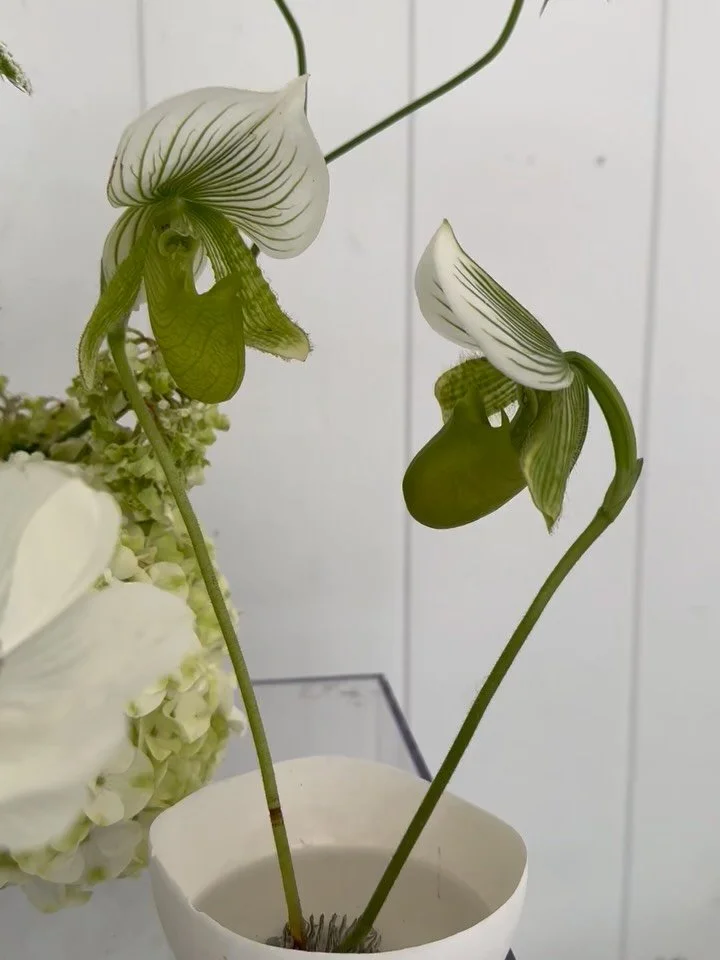 Pretty flowers of late🌸
.
.
.
.
#brisbaneflower #flowermarket