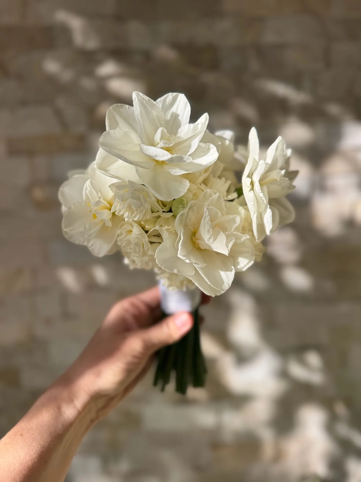 Sweet petite bridesmaids bouquets 🤍
.
.
.
.
#weddingflowers #bridemaidsbouquet #simplewedding #brisbaneweddings