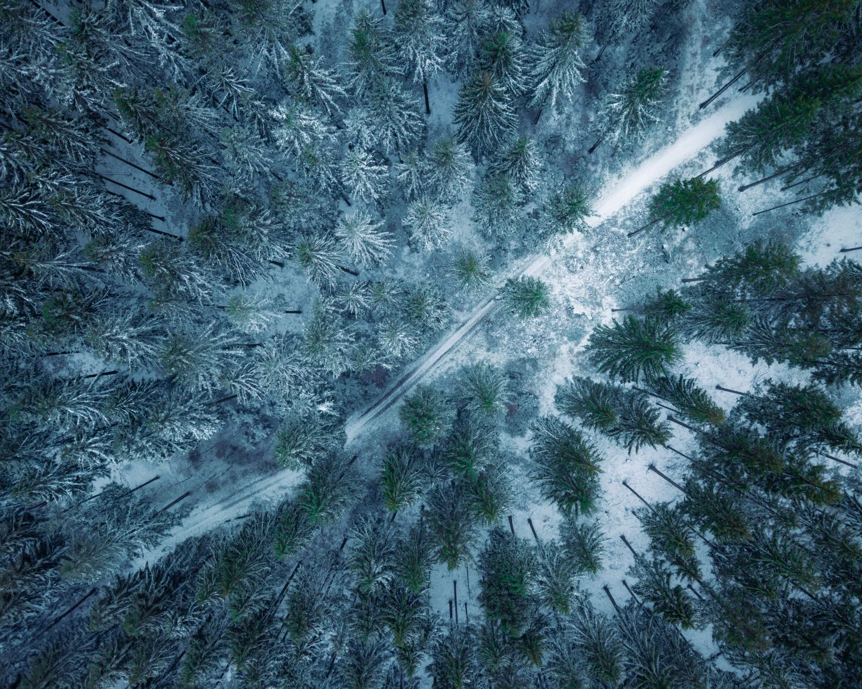 DJI_20250105123731_0262_D.jpg