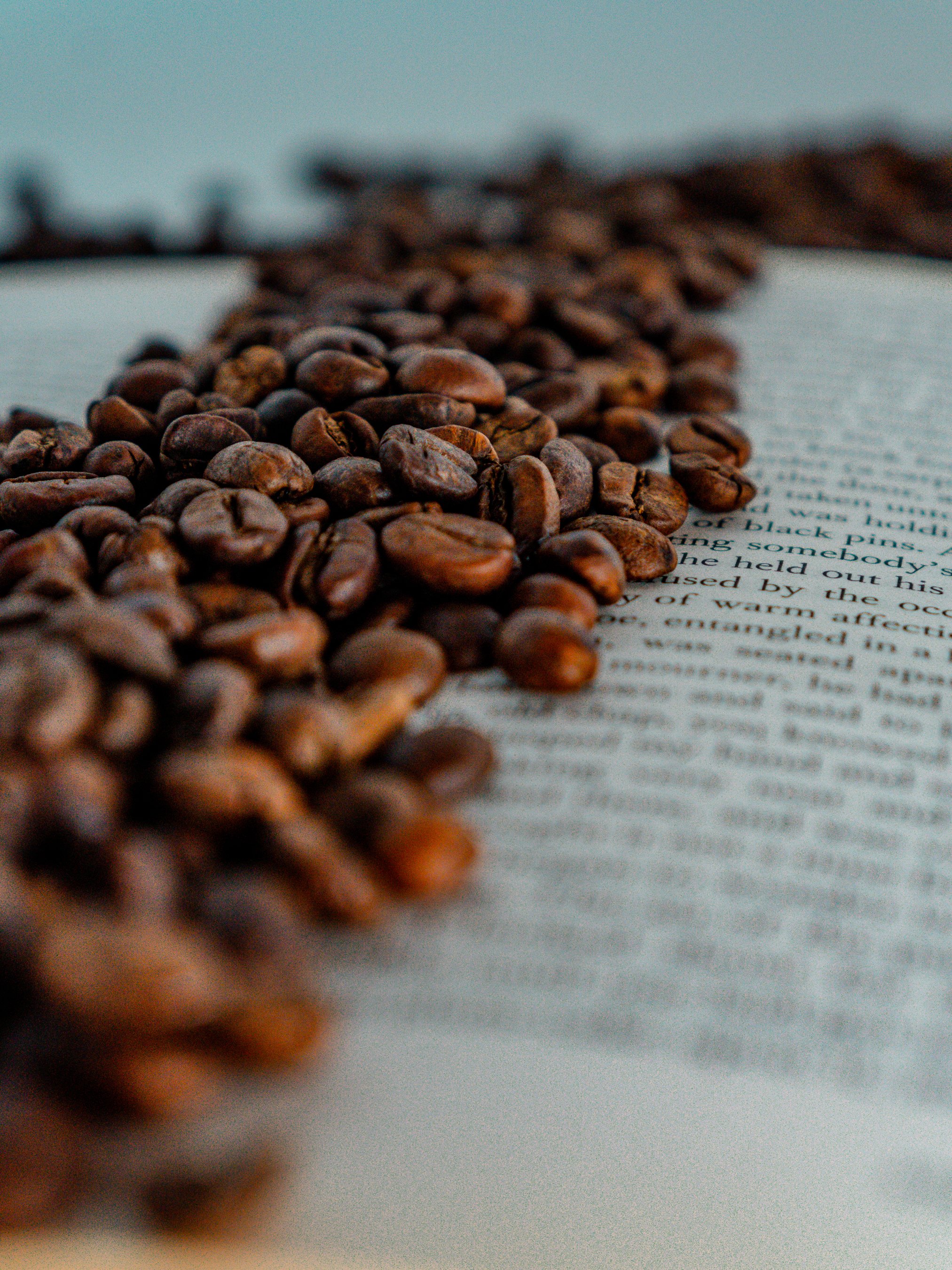 Close-up of coffee beans scattered on an open book.