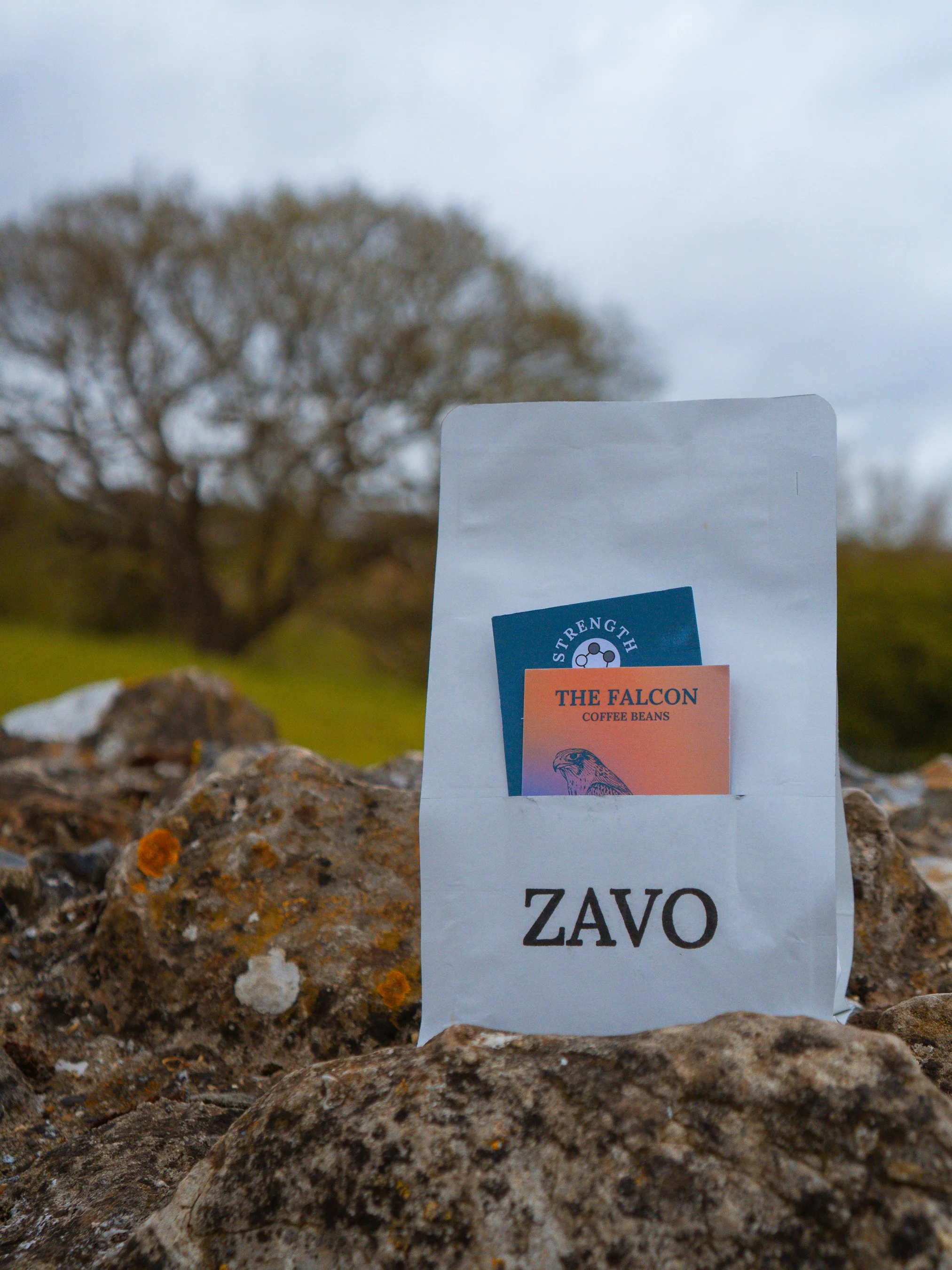 A white paper bag with the word 'ZAVO' printed on it, placed on rocks outdoors. The bag contains business cards, including one with an eagle illustration titled 'THE FALCON' and another with the word 'STRENGTH'. The background shows trees and an over