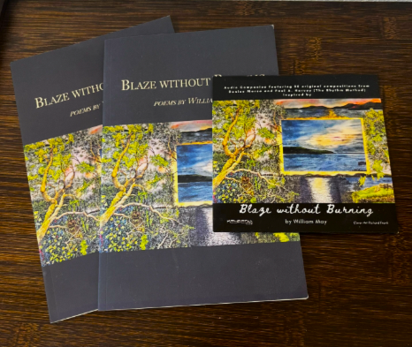 Three books titled 'Blaze Without Burning' by William May stacked on a wooden surface, with a third book open showing cover art of a landscape painting of a sky and water framed in branches and leaves.