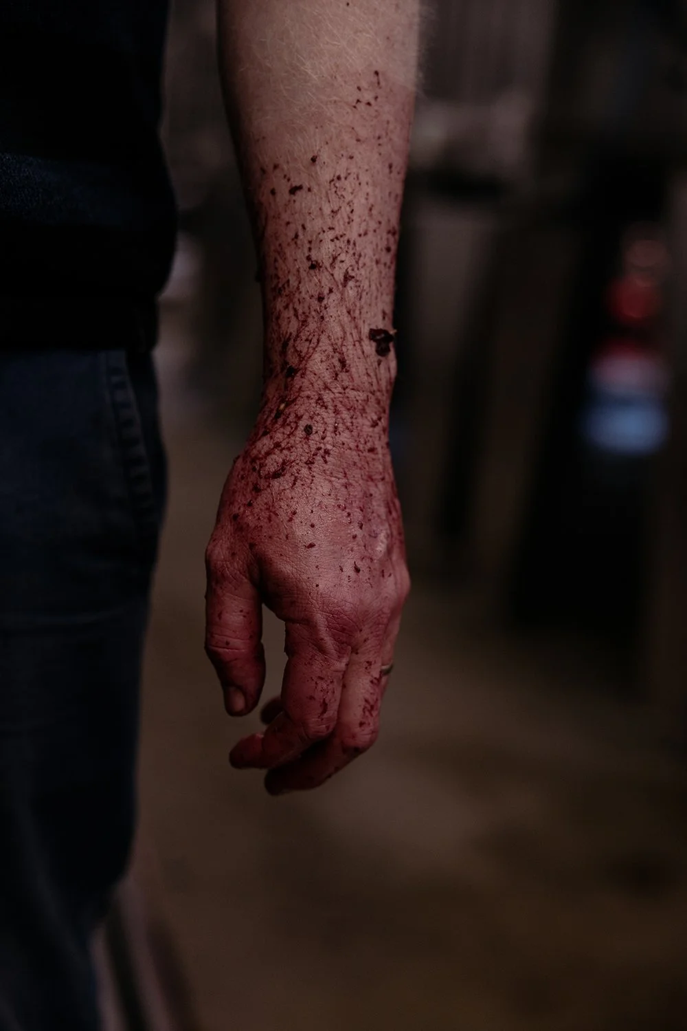 moorilla-winery_53641275326_o copy.jpg