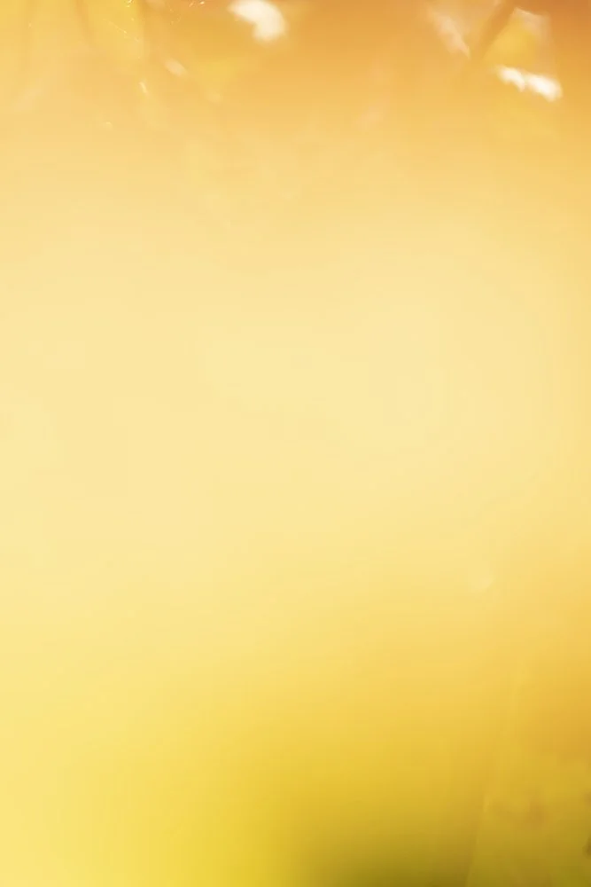 _DSC3554-2 copy 2.jpg