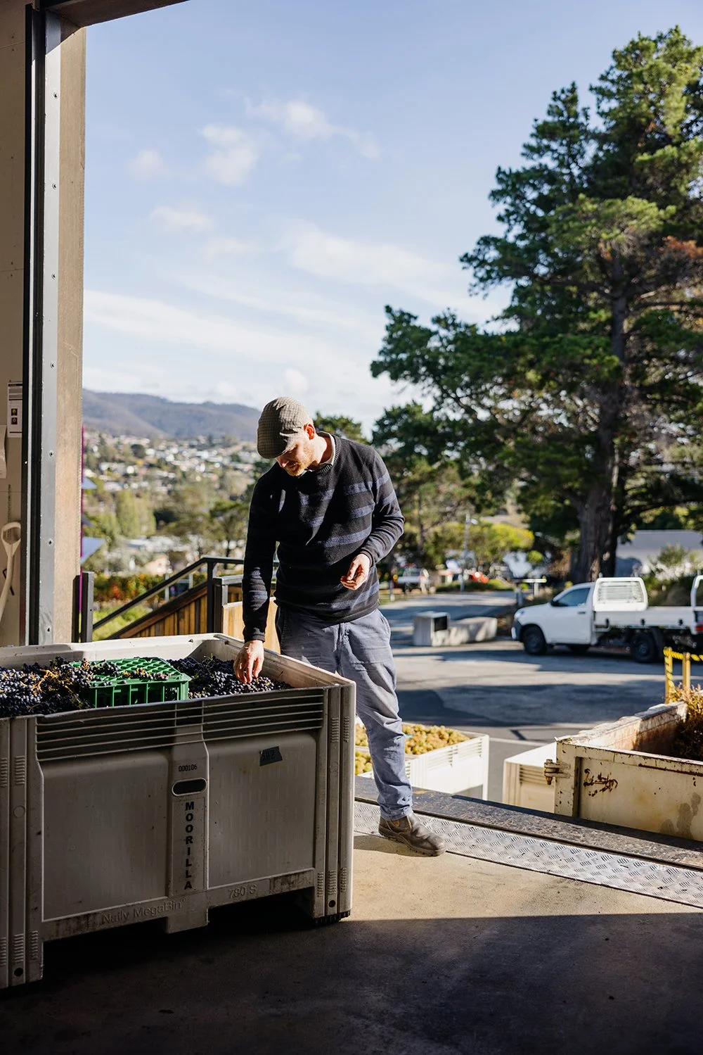 _C7A6512 (1) copy.jpg