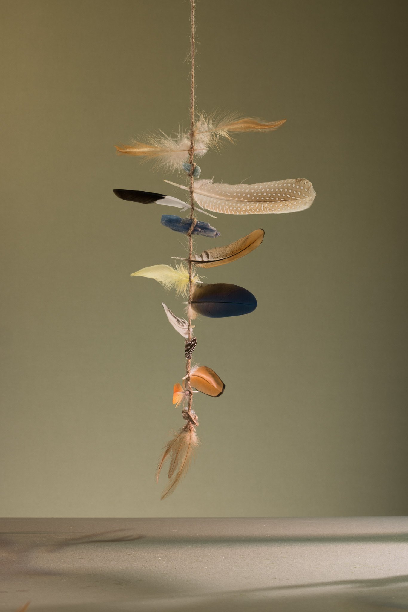 Feathers-012.jpg