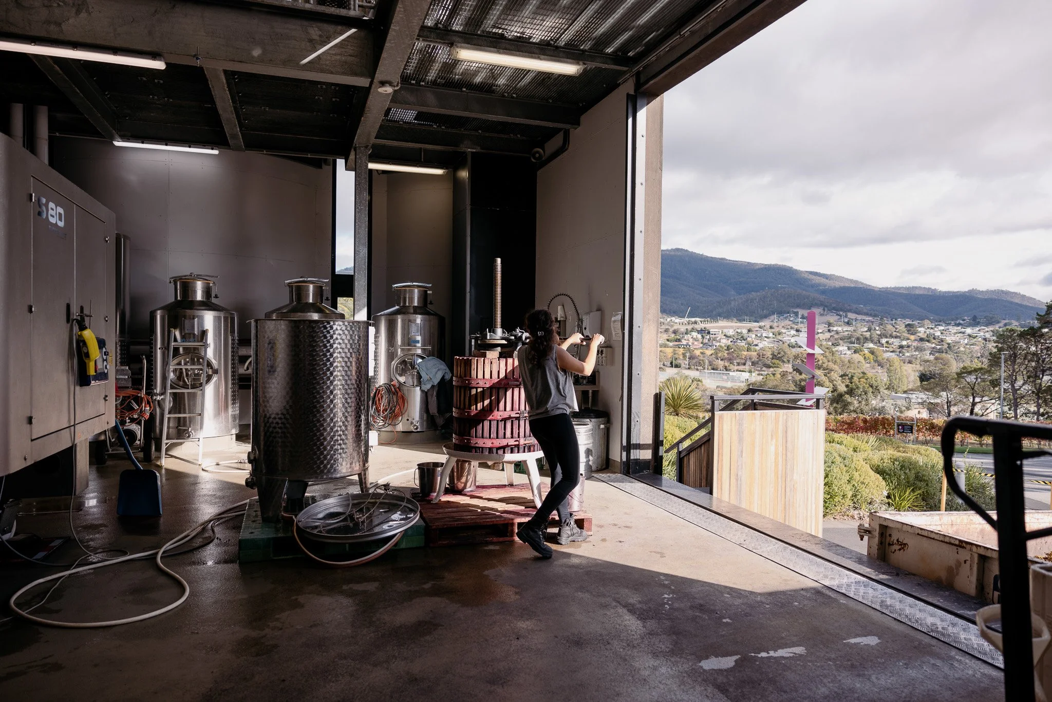 moorilla-winery_53645839816_o.jpg