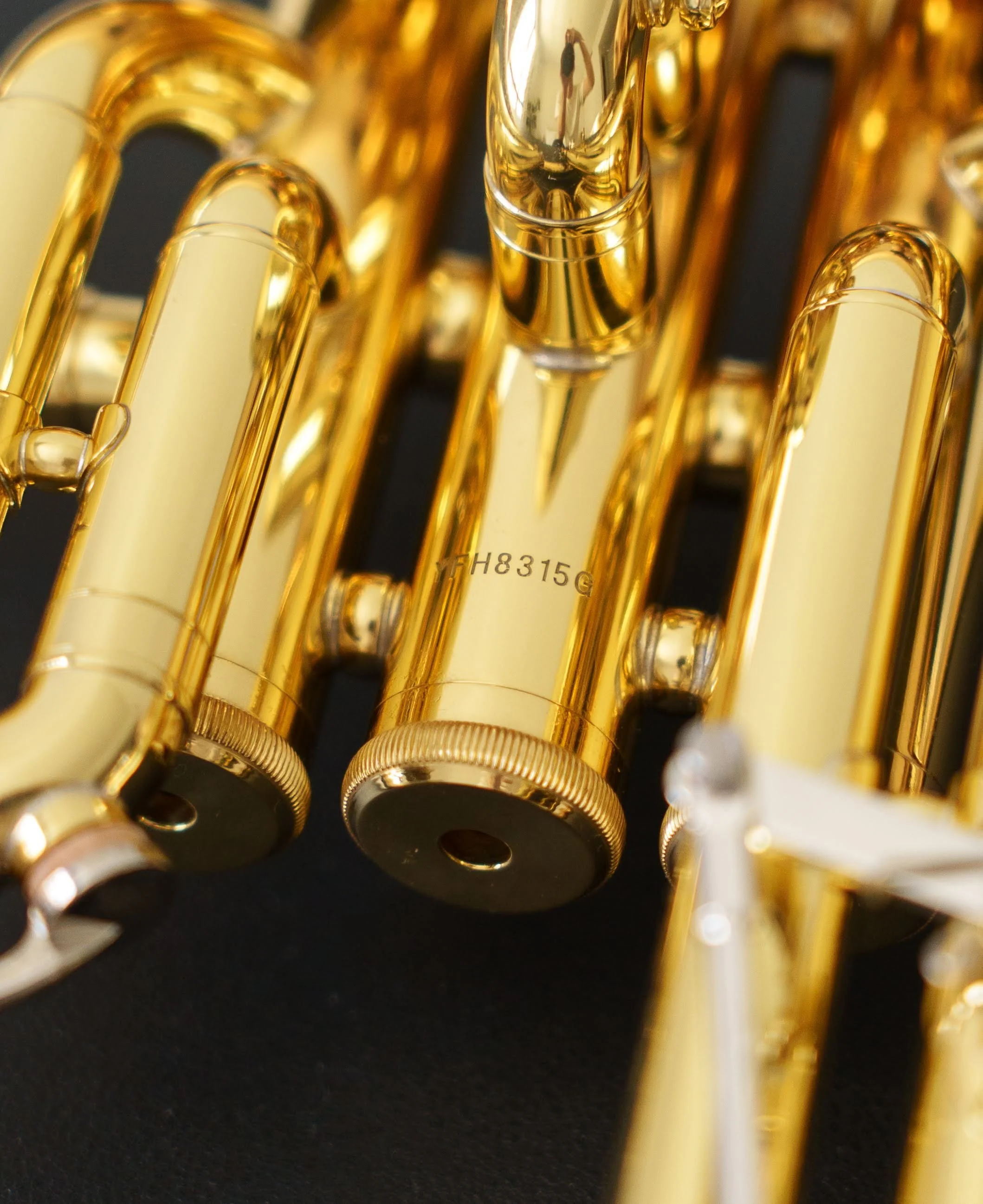 DSC03036.jpg