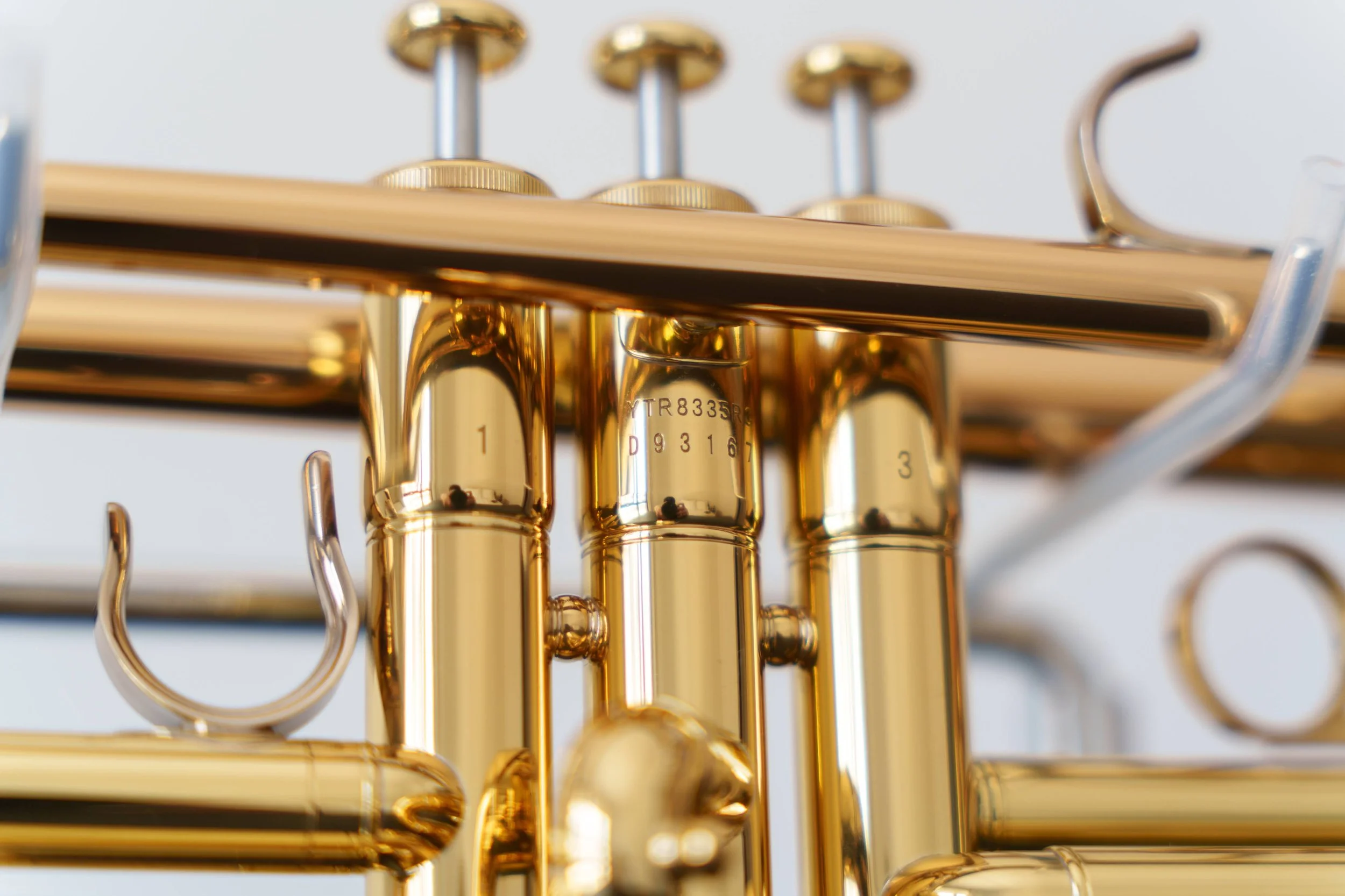 DSC04163.jpg