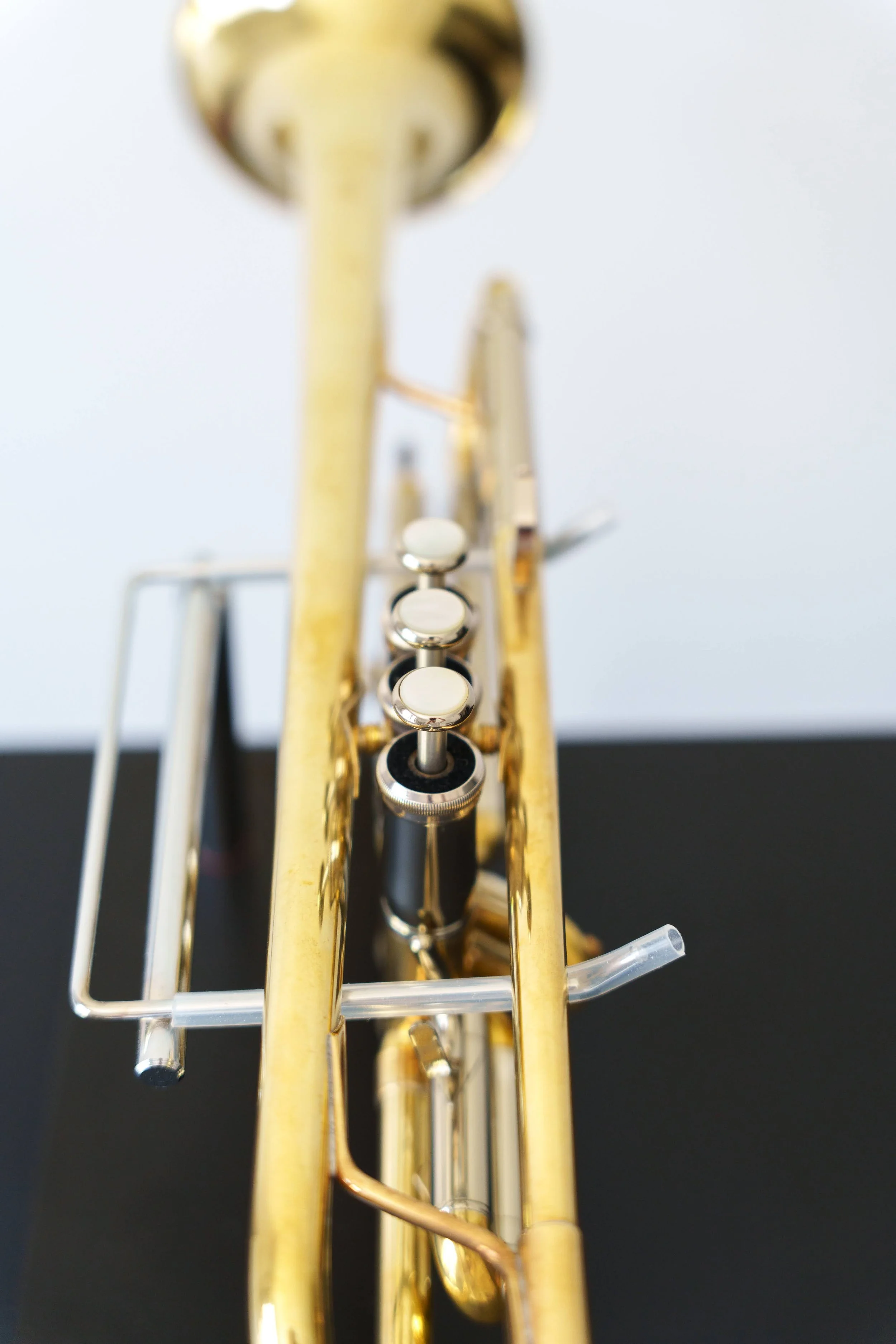 DSC03865.jpg