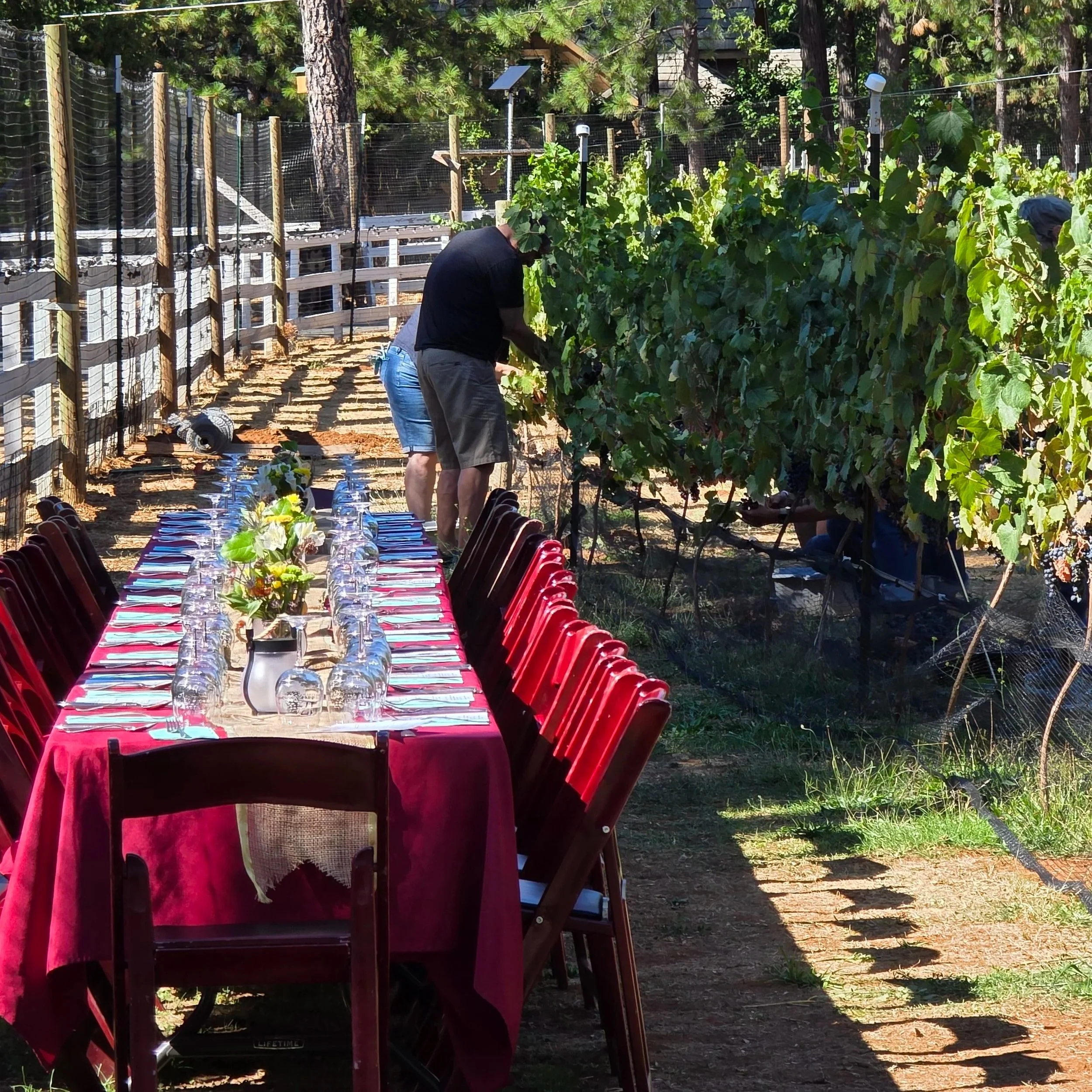 October Harvest Party: Farm to Fork Dinner