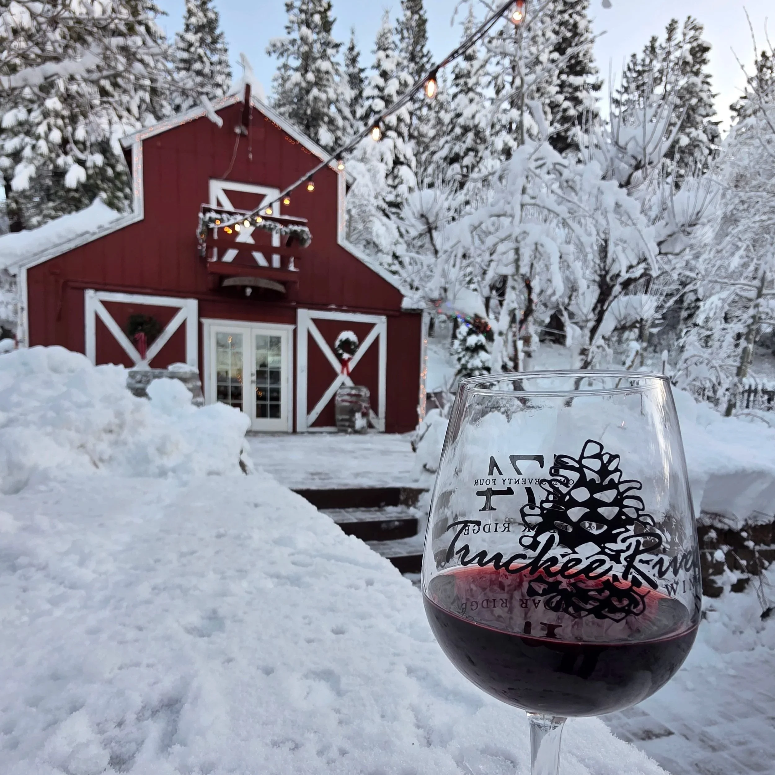Winter Wonderland Paired Tastings