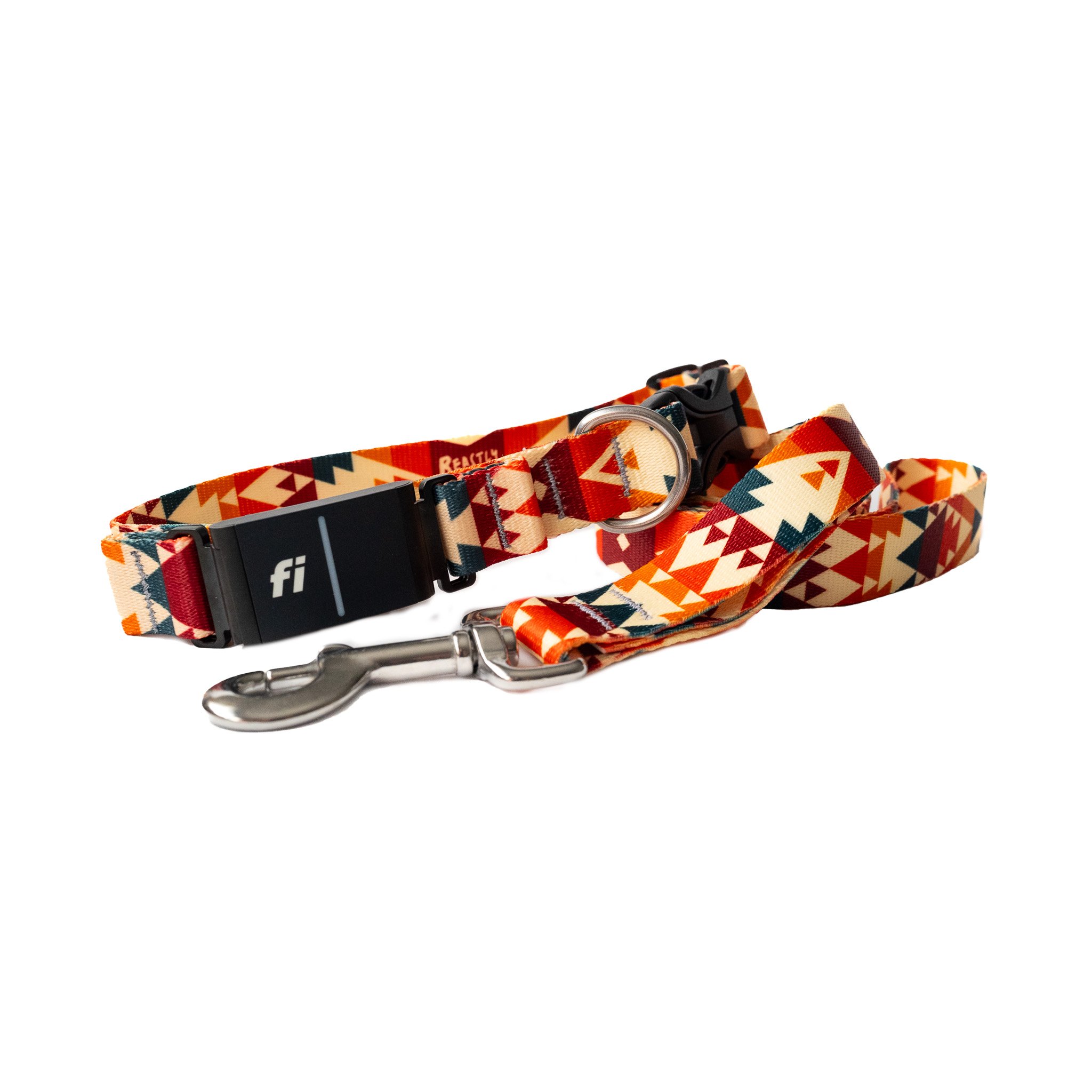 Sol fi and leash 1.jpg