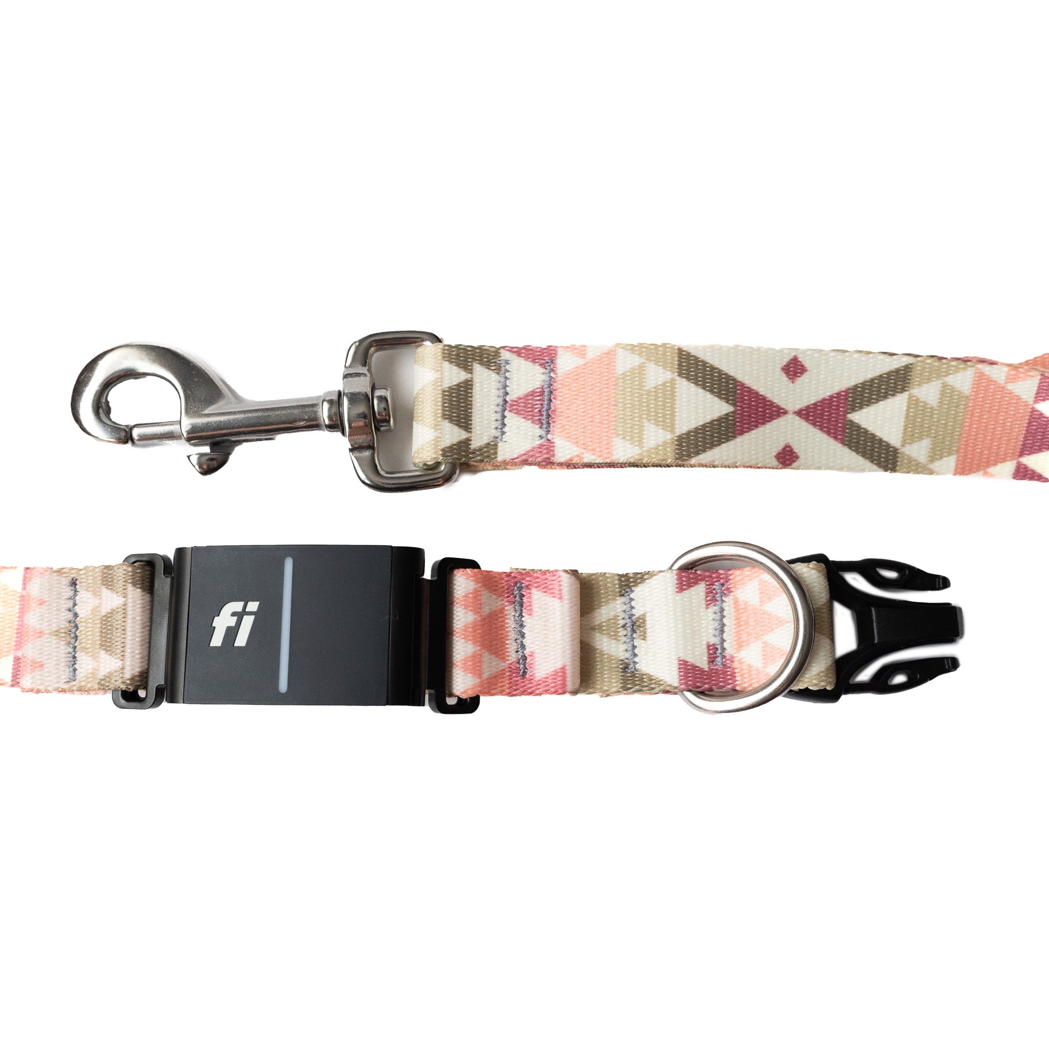 Esperanza fi and leash 2.jpg