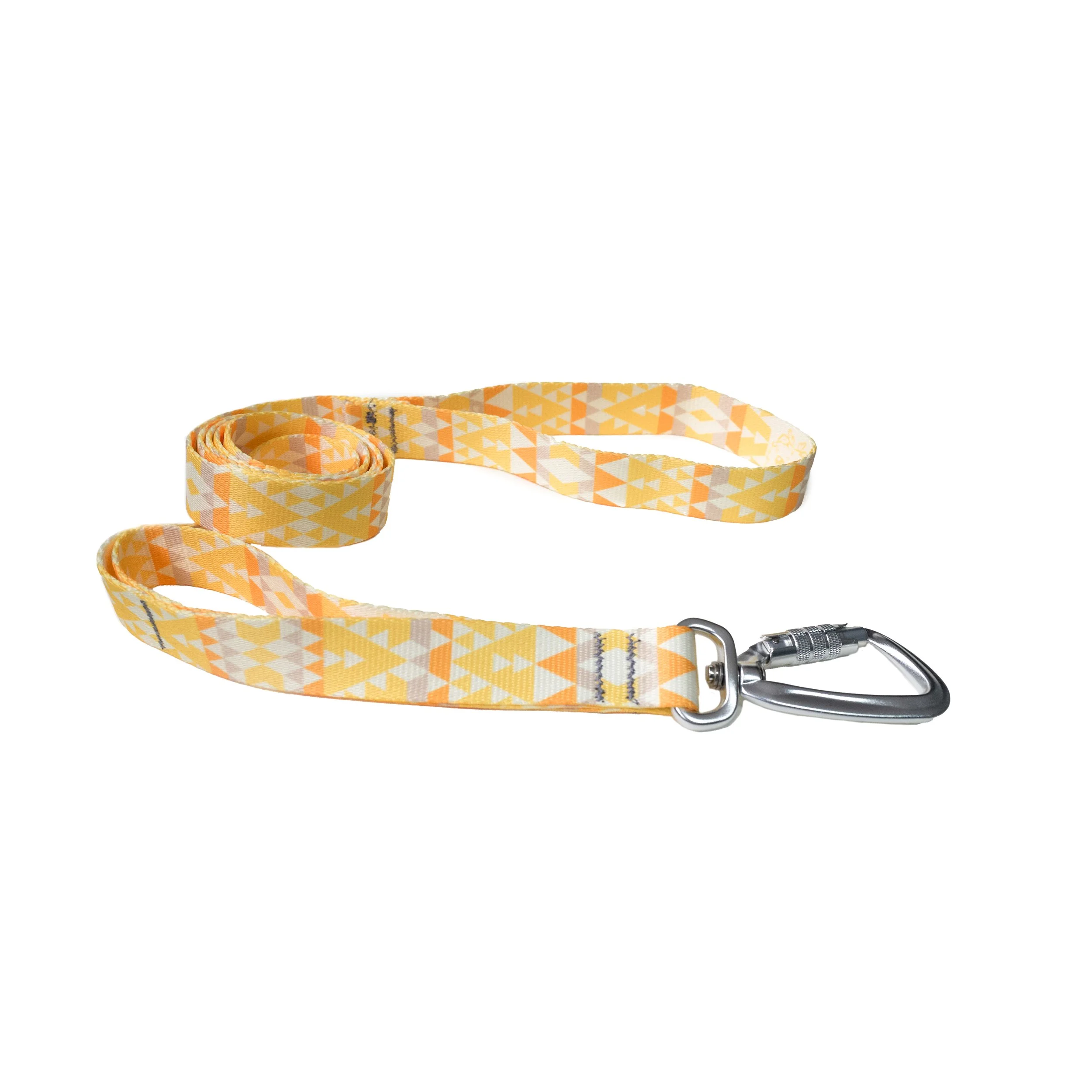Aether Dog Leash