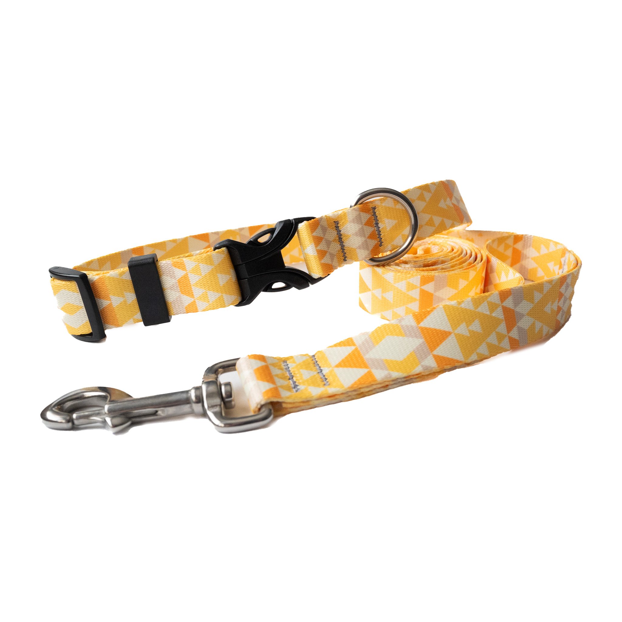 Aether collar and leash 1.jpg