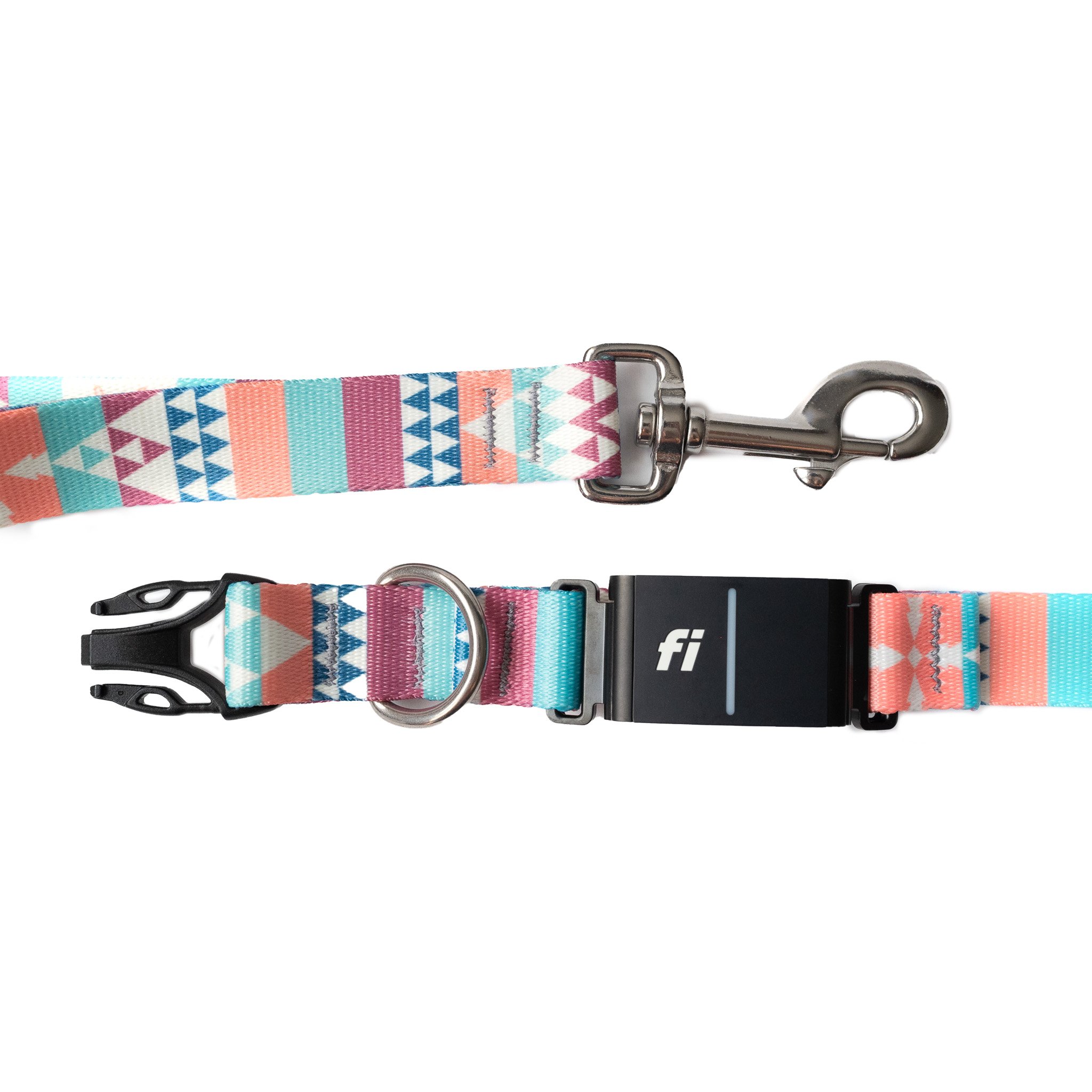 Artemis fi and leash 2.jpg