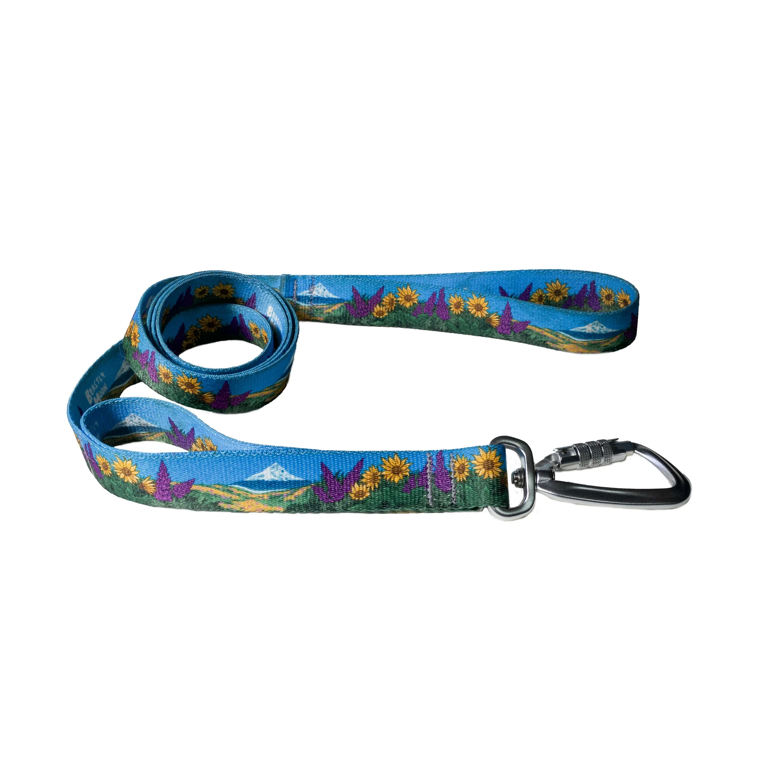 Gorgeous Dog Leash