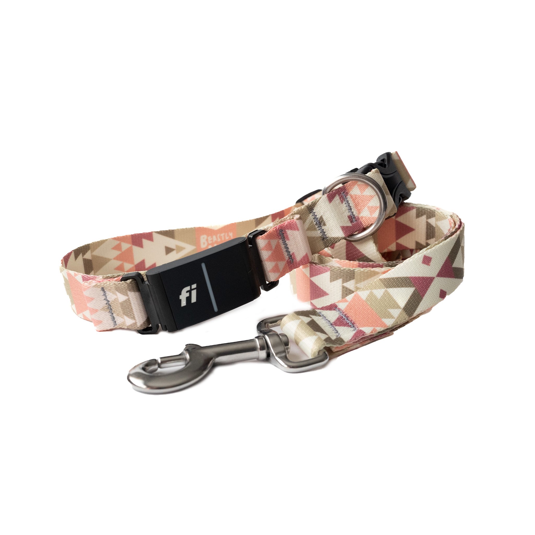 Esperanza fi and leash 1.jpg