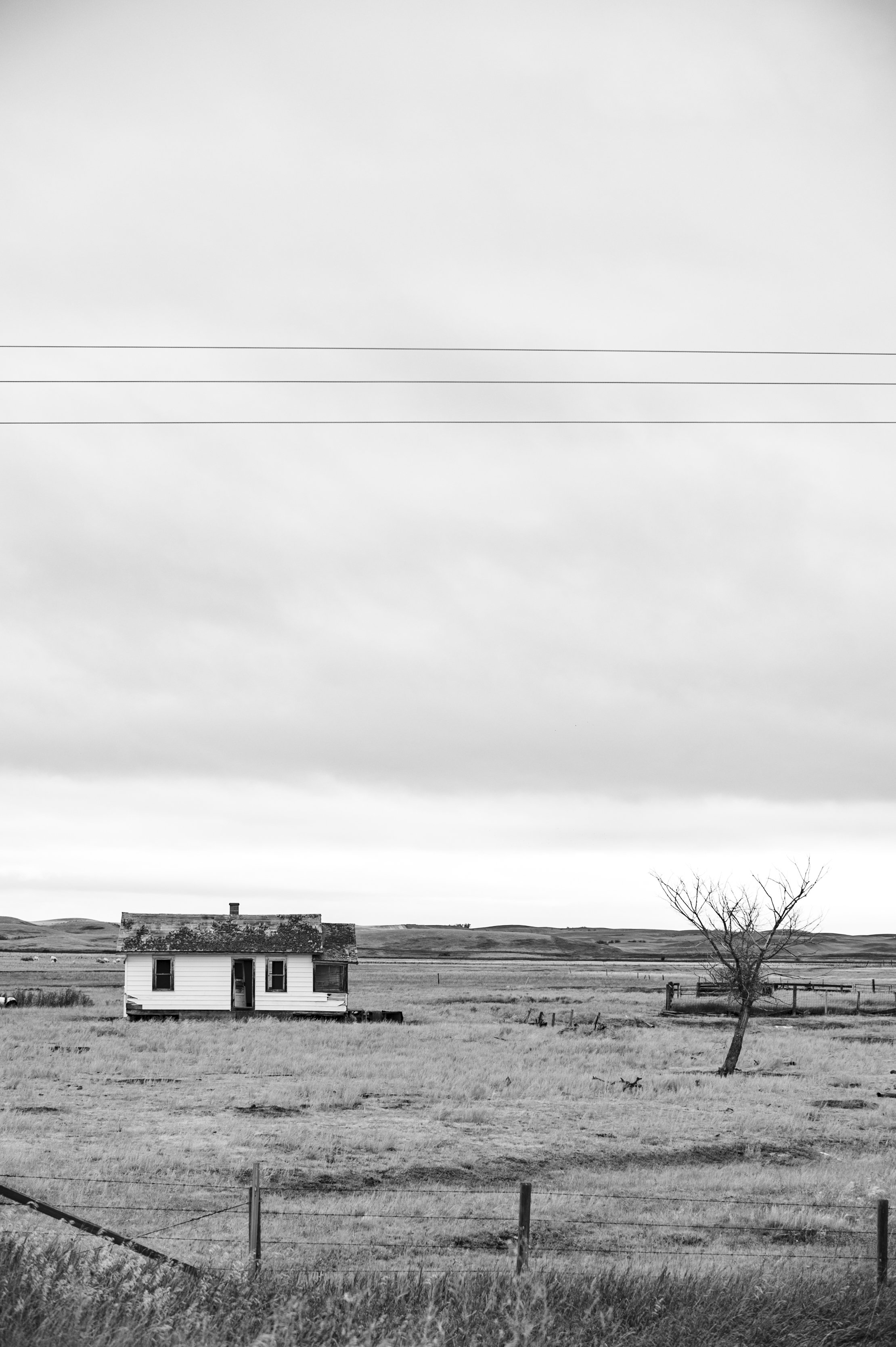 Elly Mae Photography