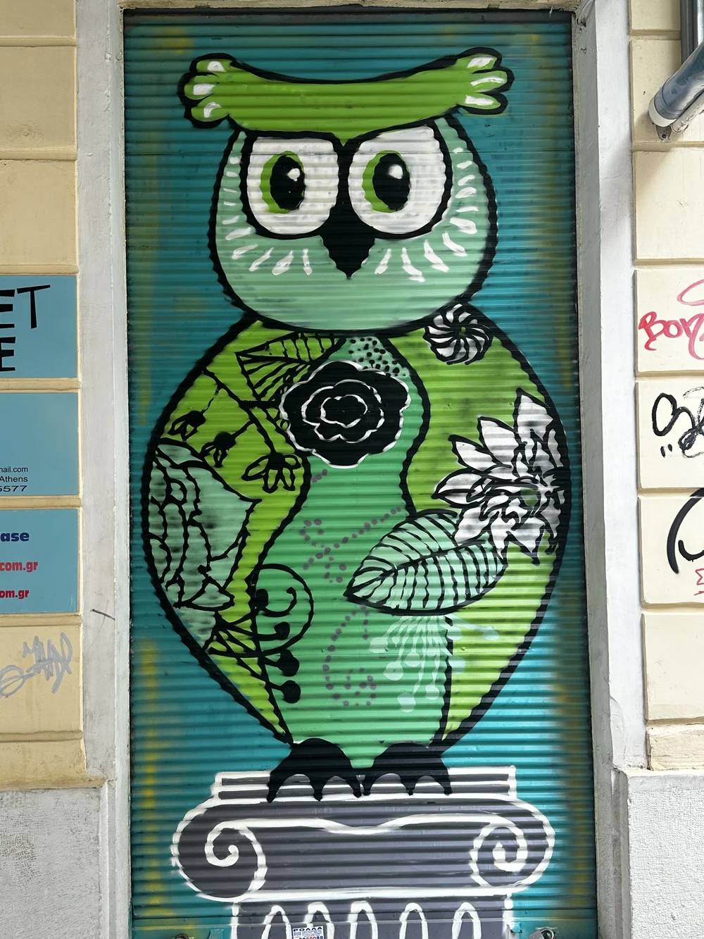 IMG_2184.jpeg
