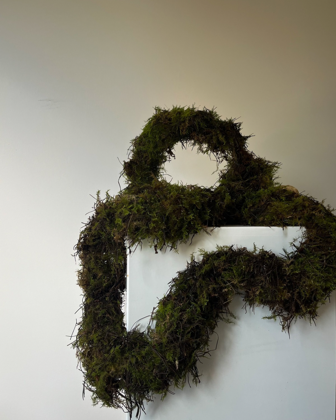 Untitled design (4).PNG