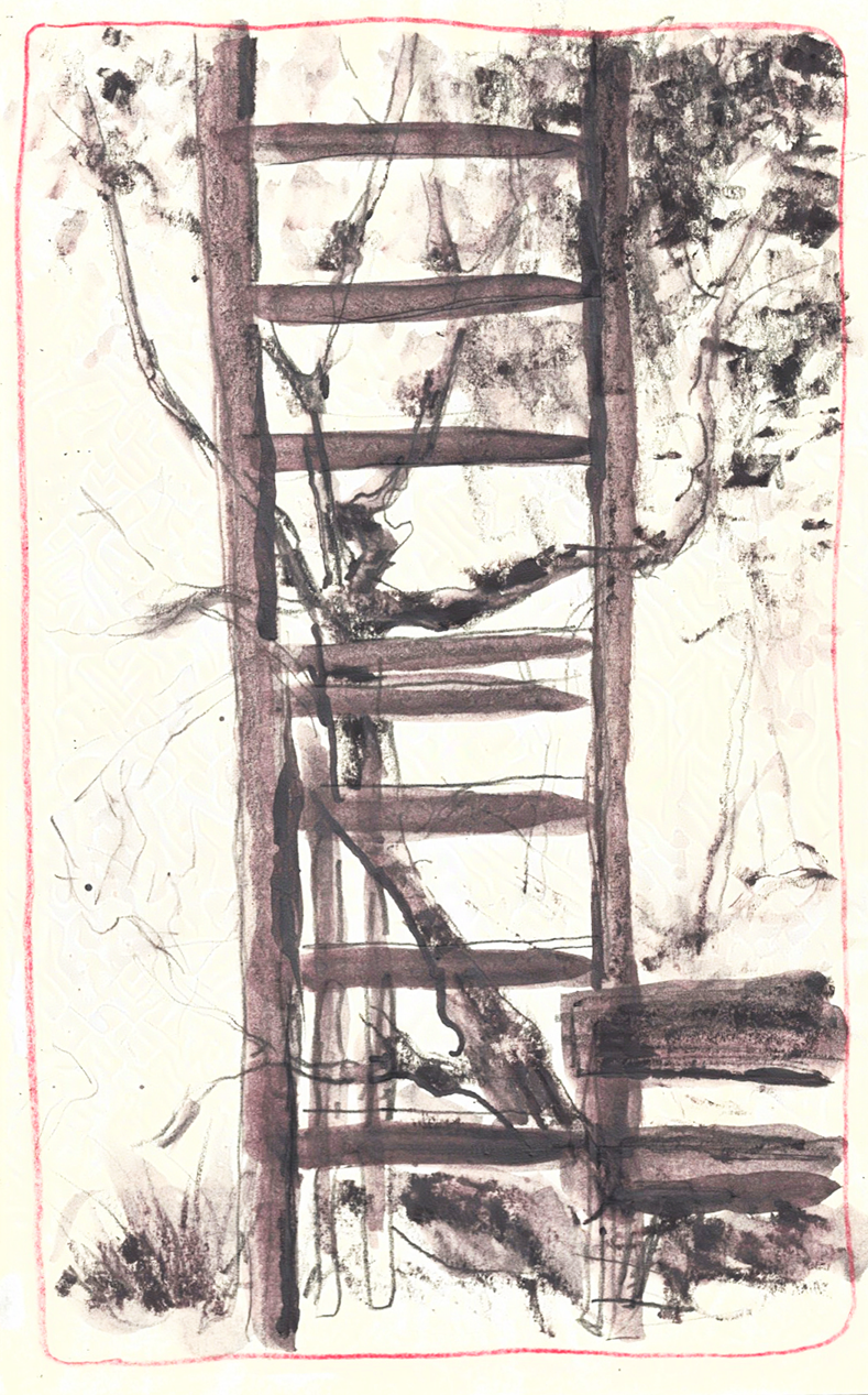 sketchbook_jan_2025_update_ 23-nightshade-intensity-LOW-V1.png