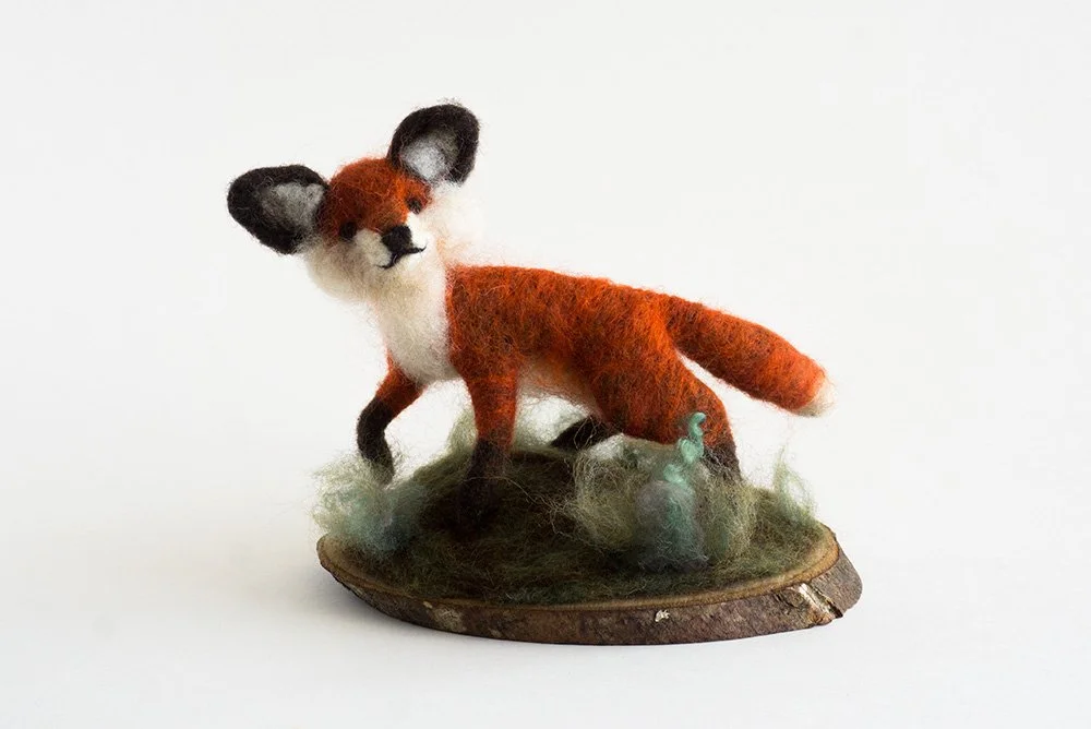 fox_standing_med_wb_001.jpg