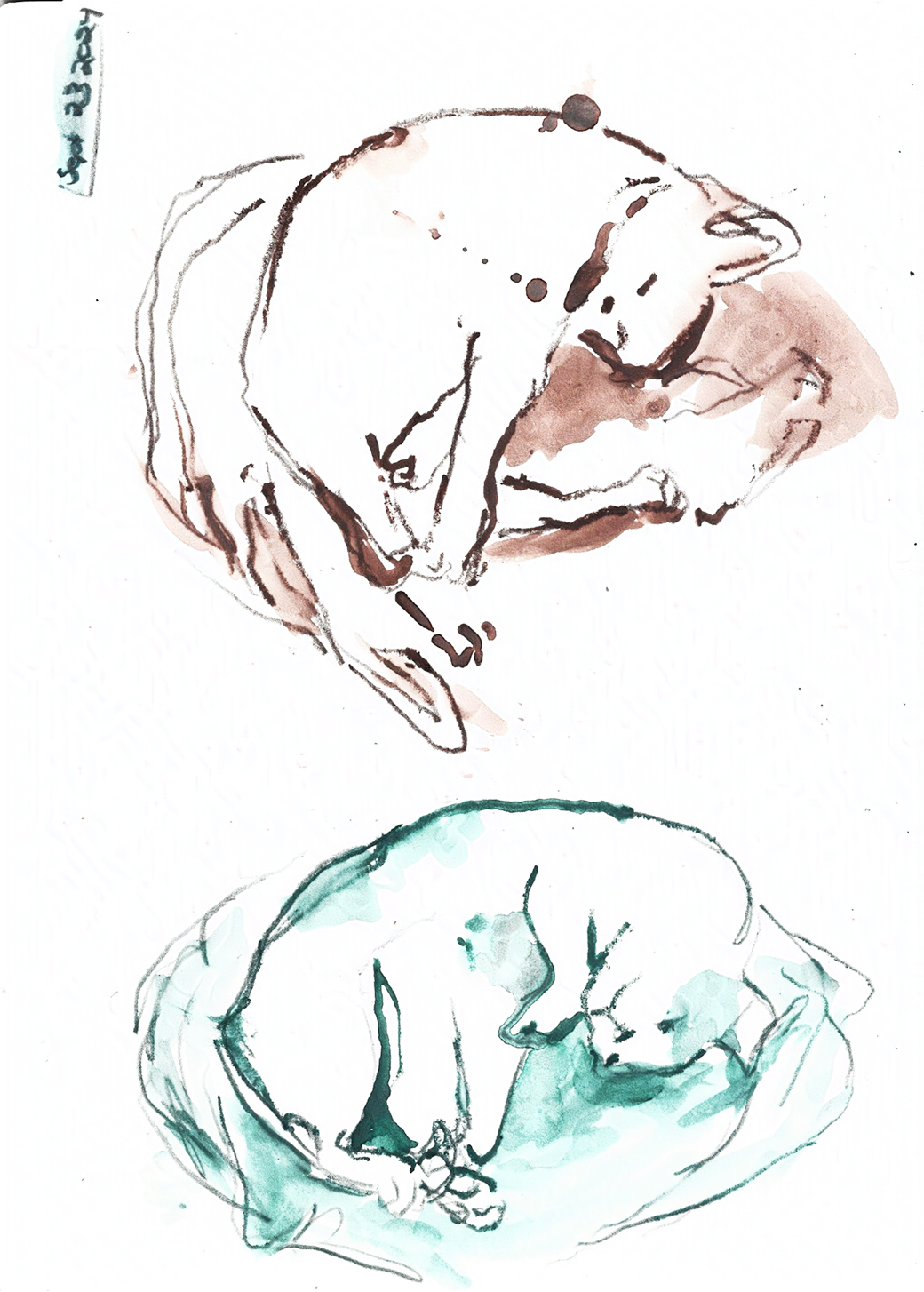 sketchbook_jan_2025_update_ 4-nightshade-intensity-LOW-V1.png