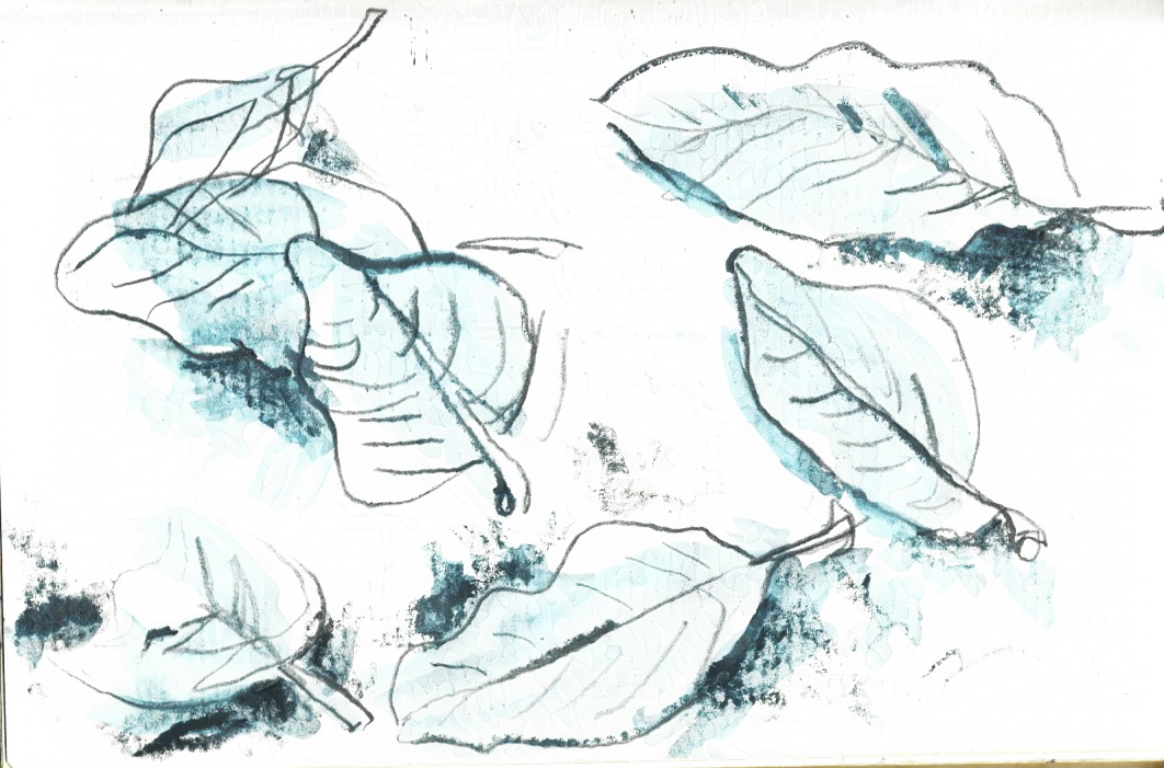 sketchbook_jan_2025_update_ 11-nightshade-intensity-LOW-V1.png