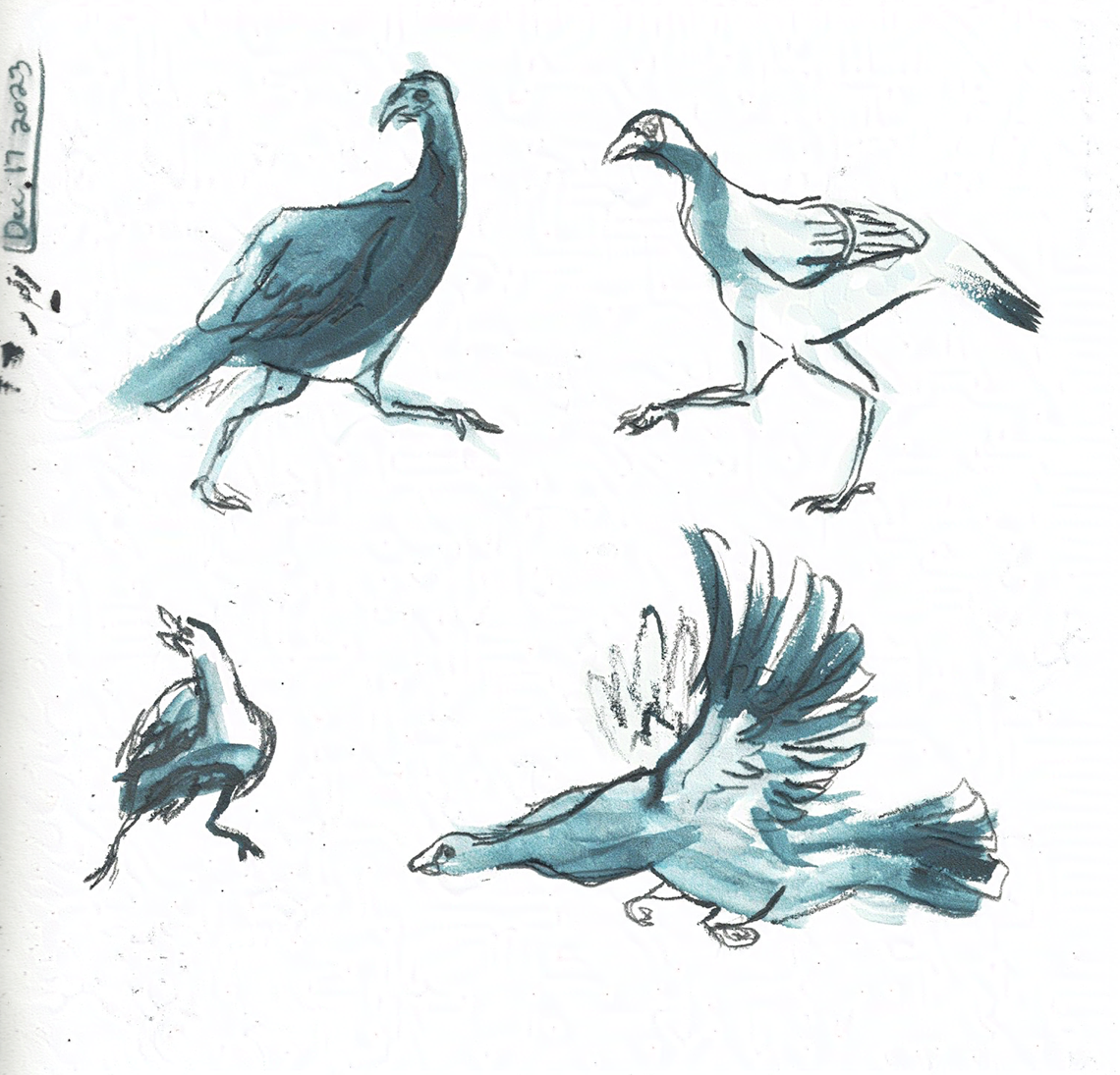 sketchbook_jan_2025_update_ 13-nightshade-intensity-LOW-V1.png