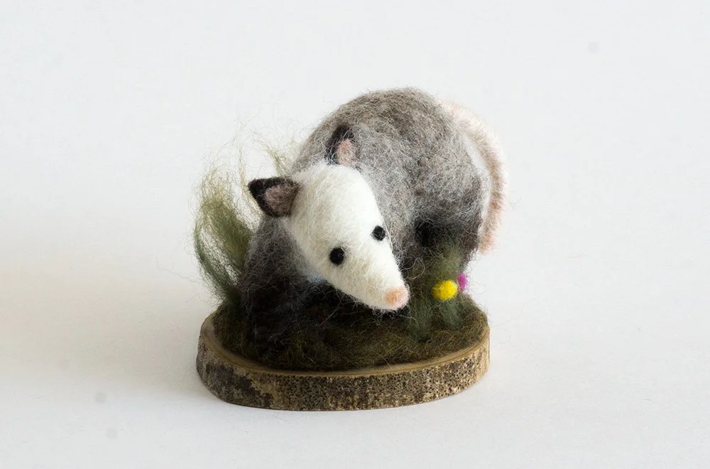 opossum_base_002.jpg