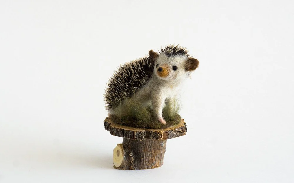 hedgehog_rb_001.jpg