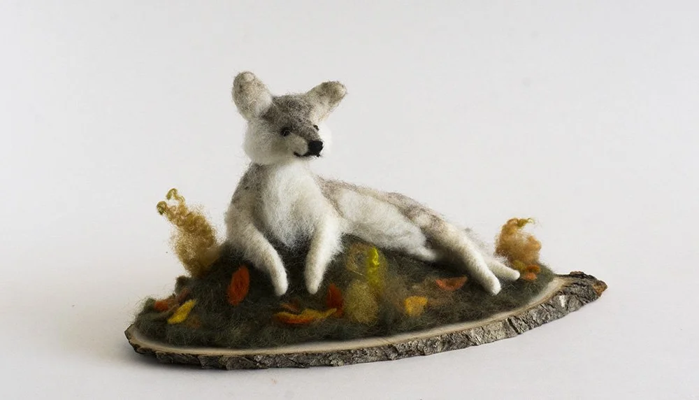 resting_wolf_lb_010.jpg