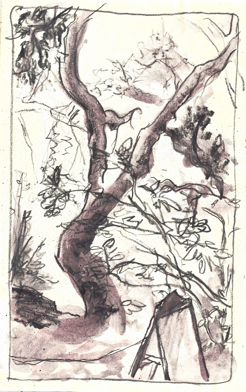 sketchbook_jan_2025_update_ 19-nightshade-intensity-LOW-V1.png