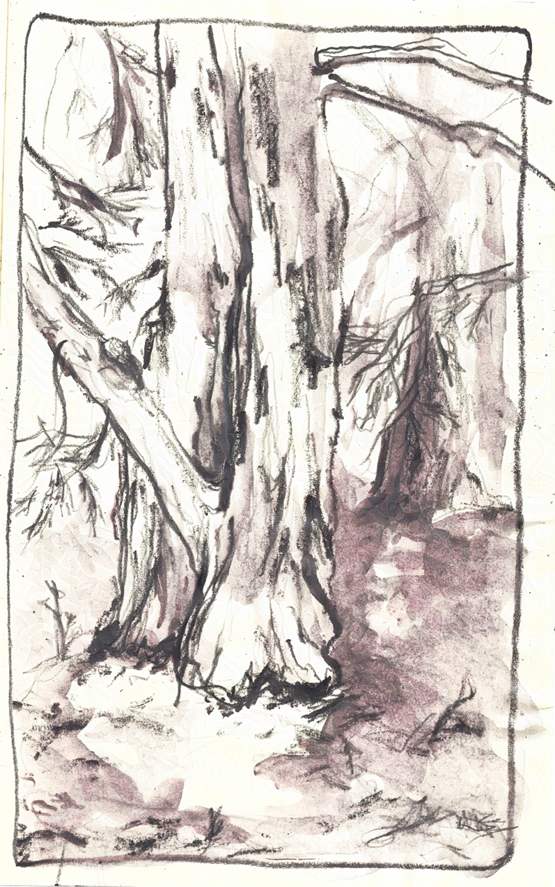 sketchbook_jan_2025_update_ 18-nightshade-intensity-LOW-V1.png