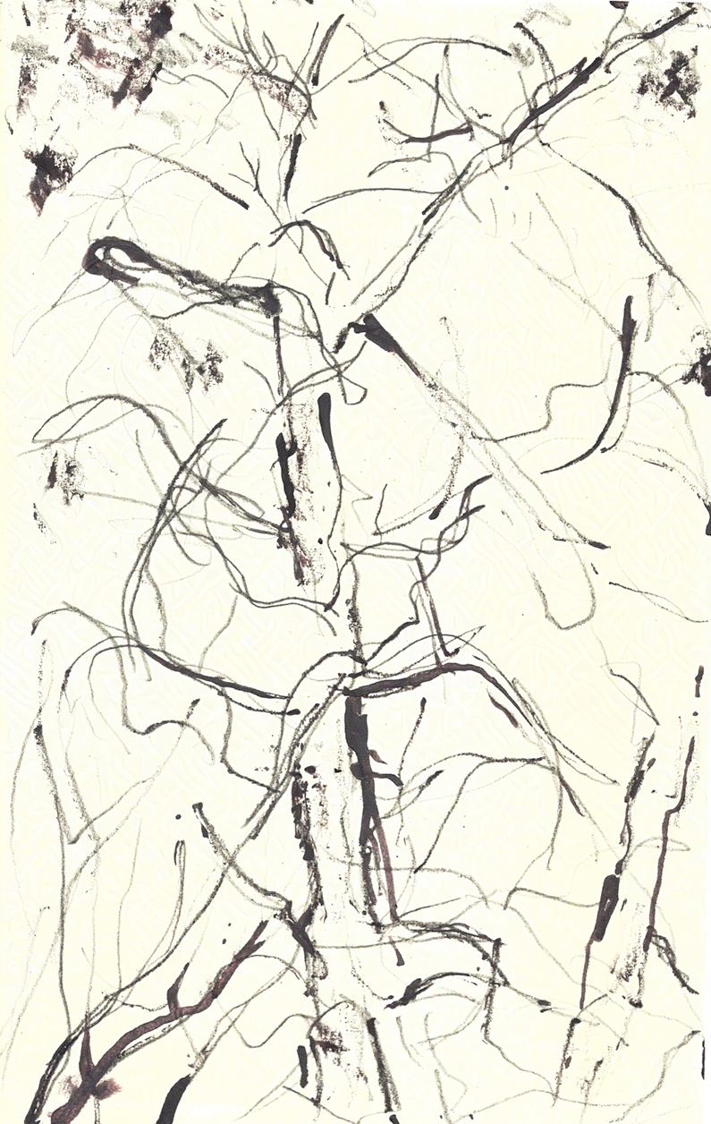 sketchbook_jan_2025_update_ 24-nightshade-intensity-LOW-V1.png